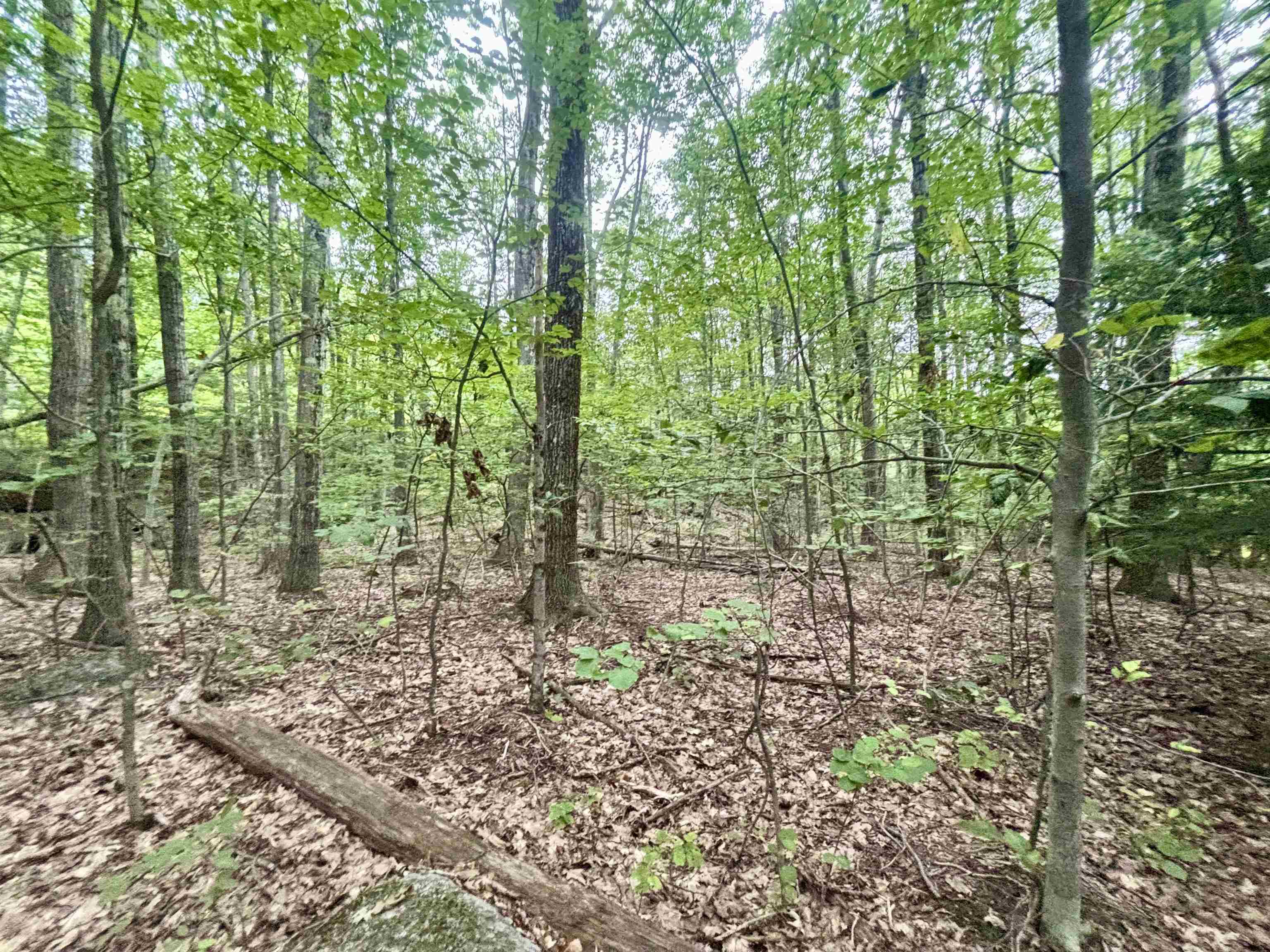 55-10 Longwood Dr, Greenfield, NH 03047