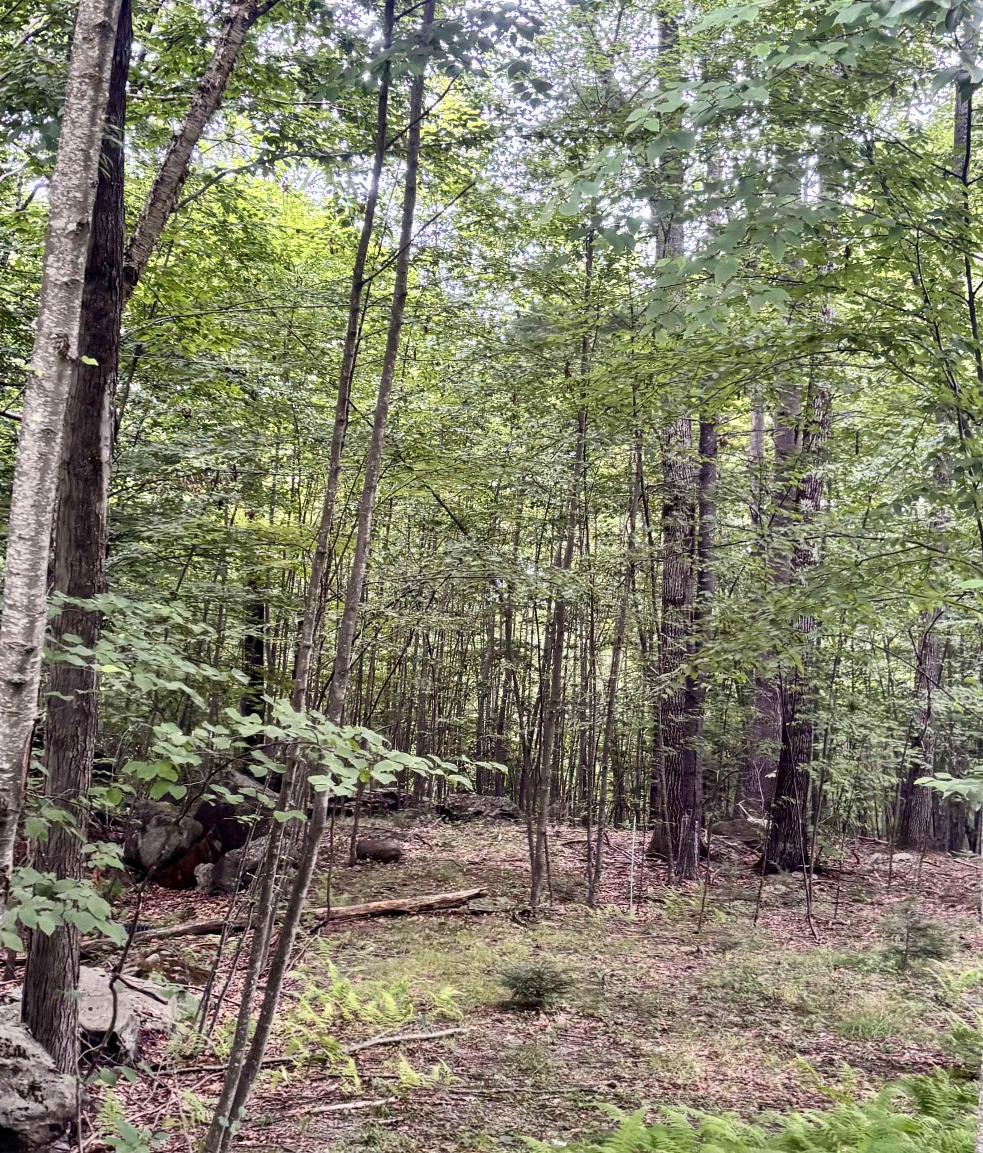 55-10 Longwood Dr, Greenfield, NH 03047