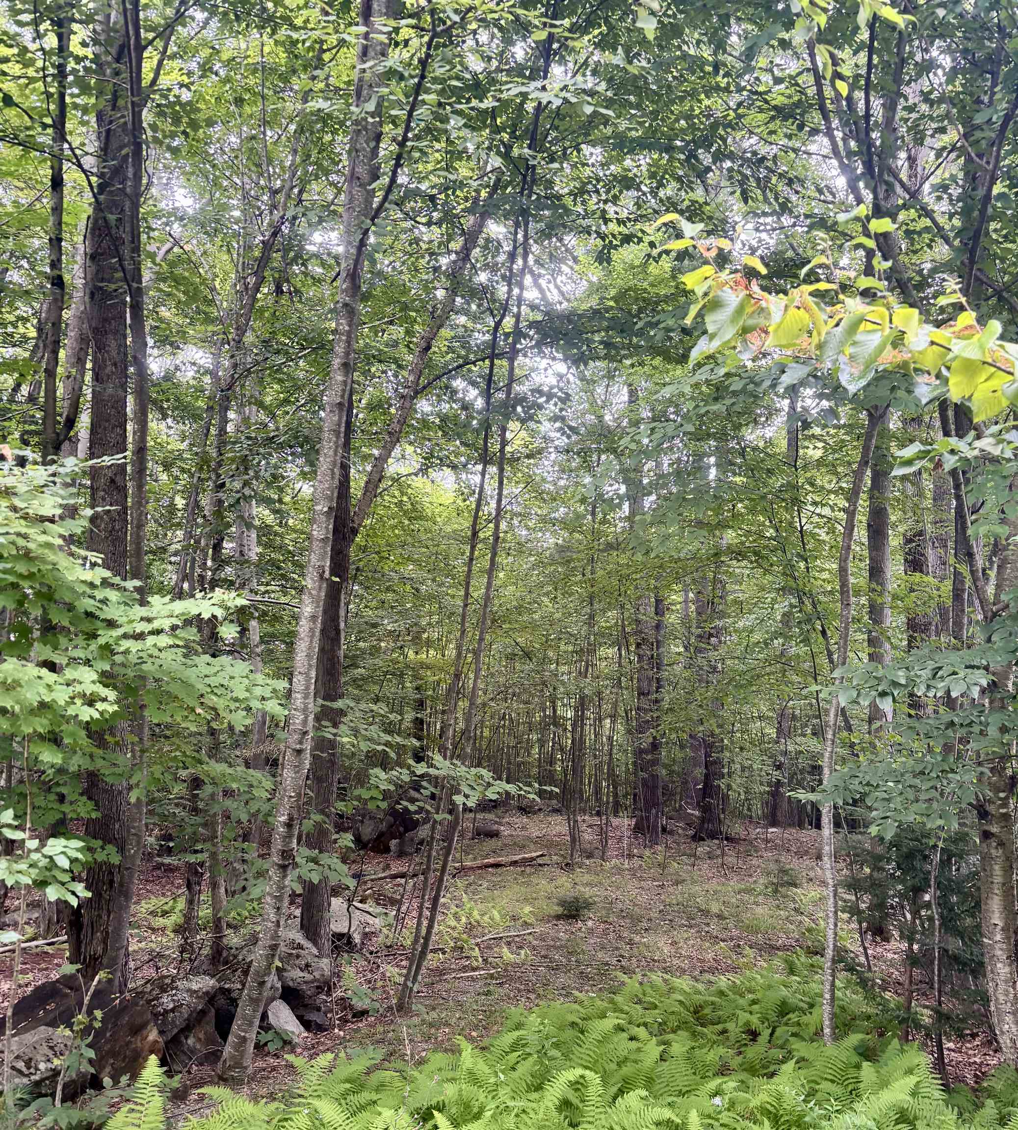 55-10 Longwood Dr, Greenfield, NH 03047