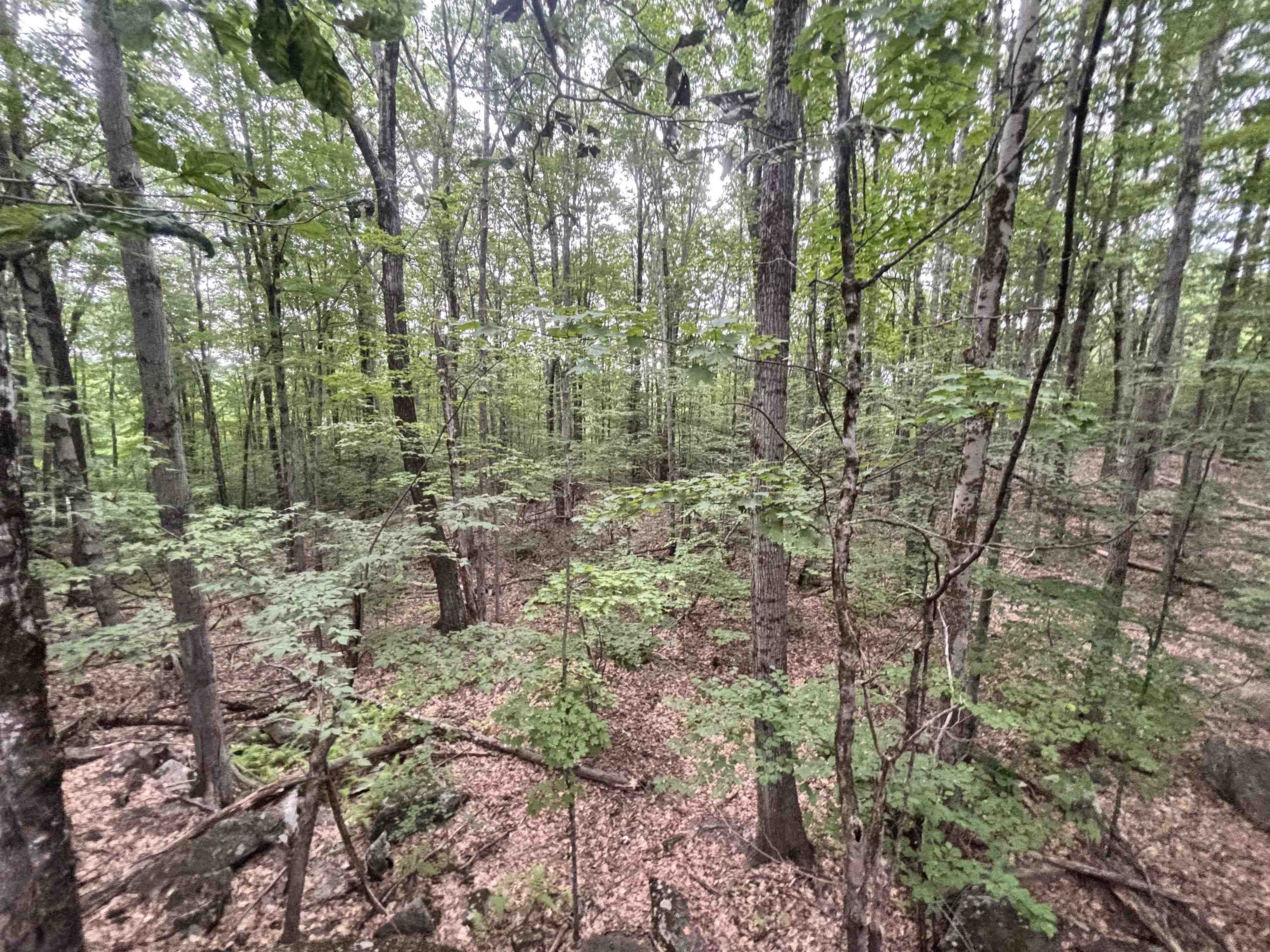 55-10 Longwood Dr, Greenfield, NH 03047
