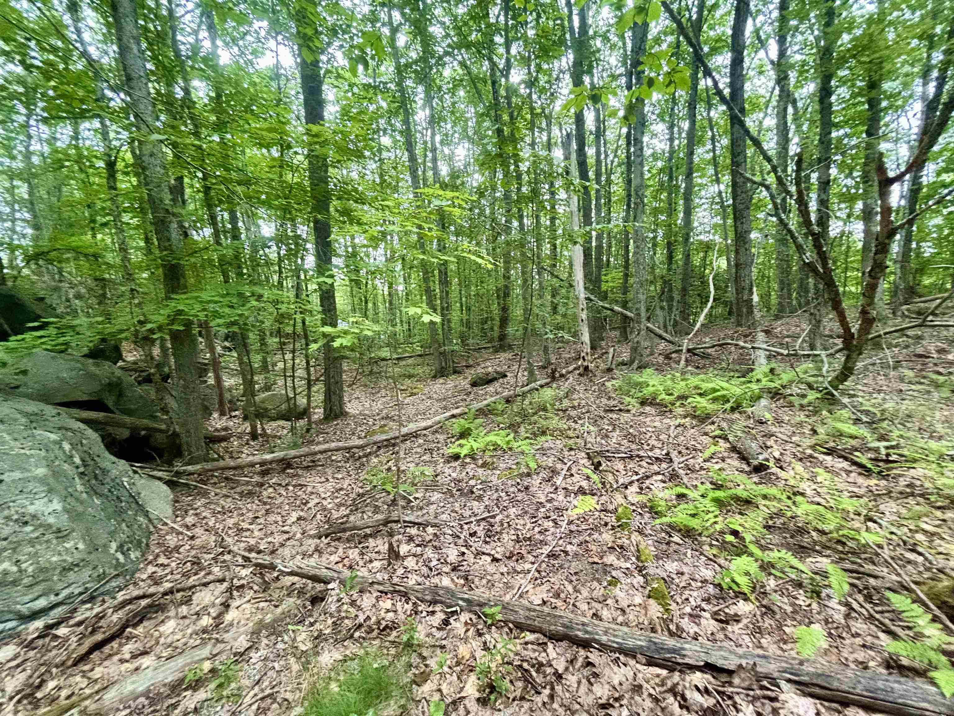 55-10 Longwood Dr, Greenfield, NH 03047