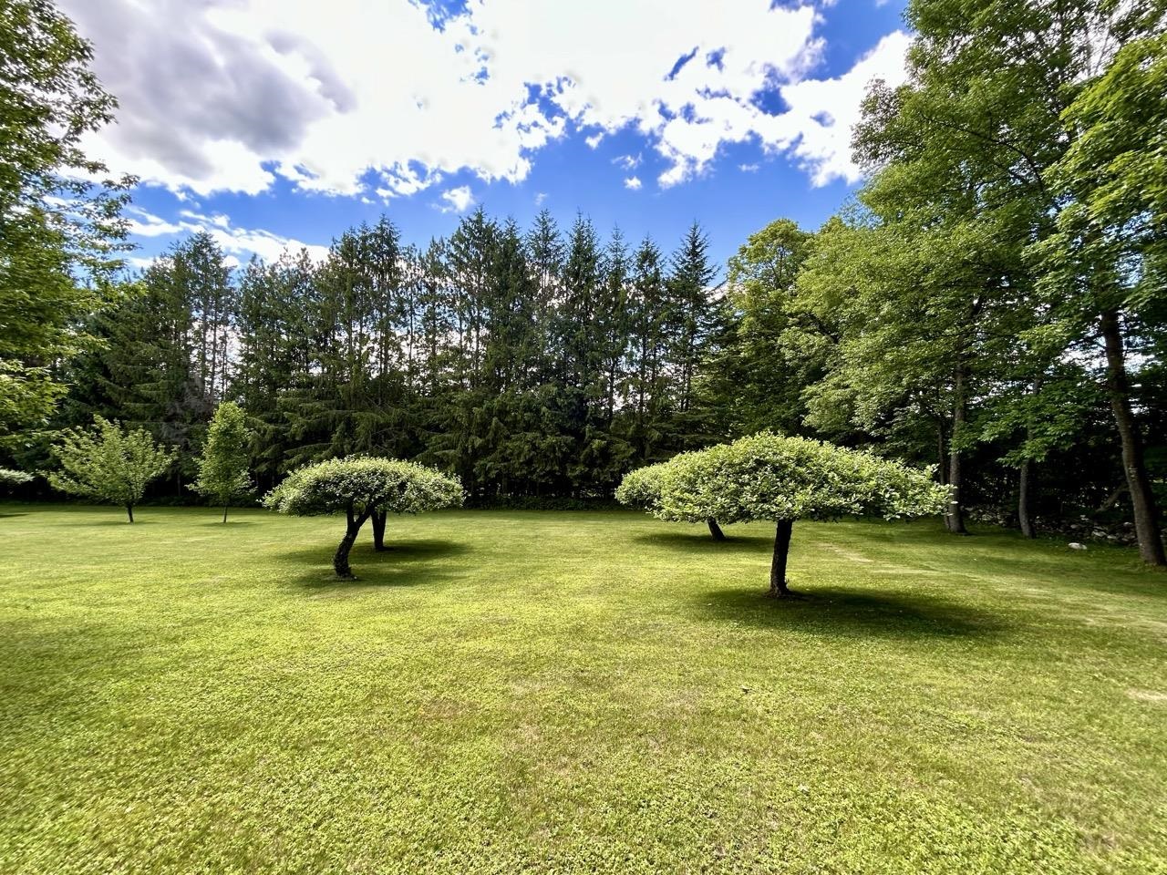 4 Open Acres