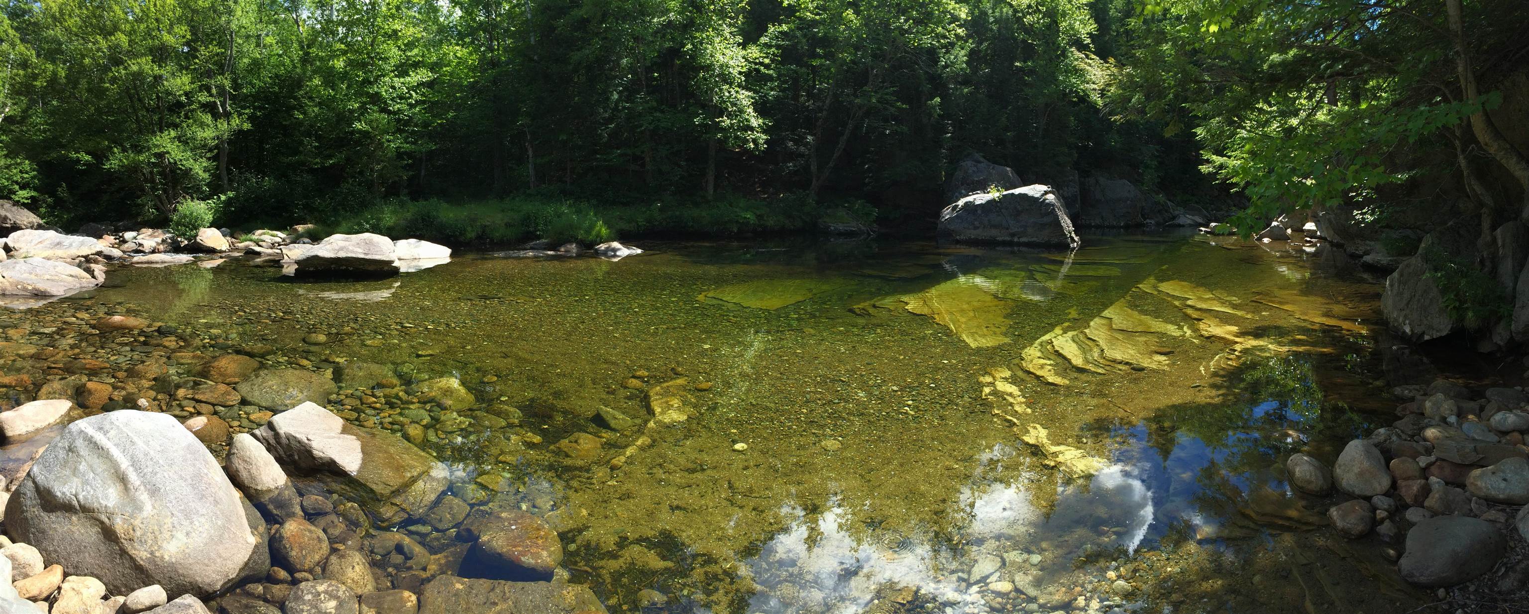 47 Dana Place Rd #8, Jackson, NH 03846
