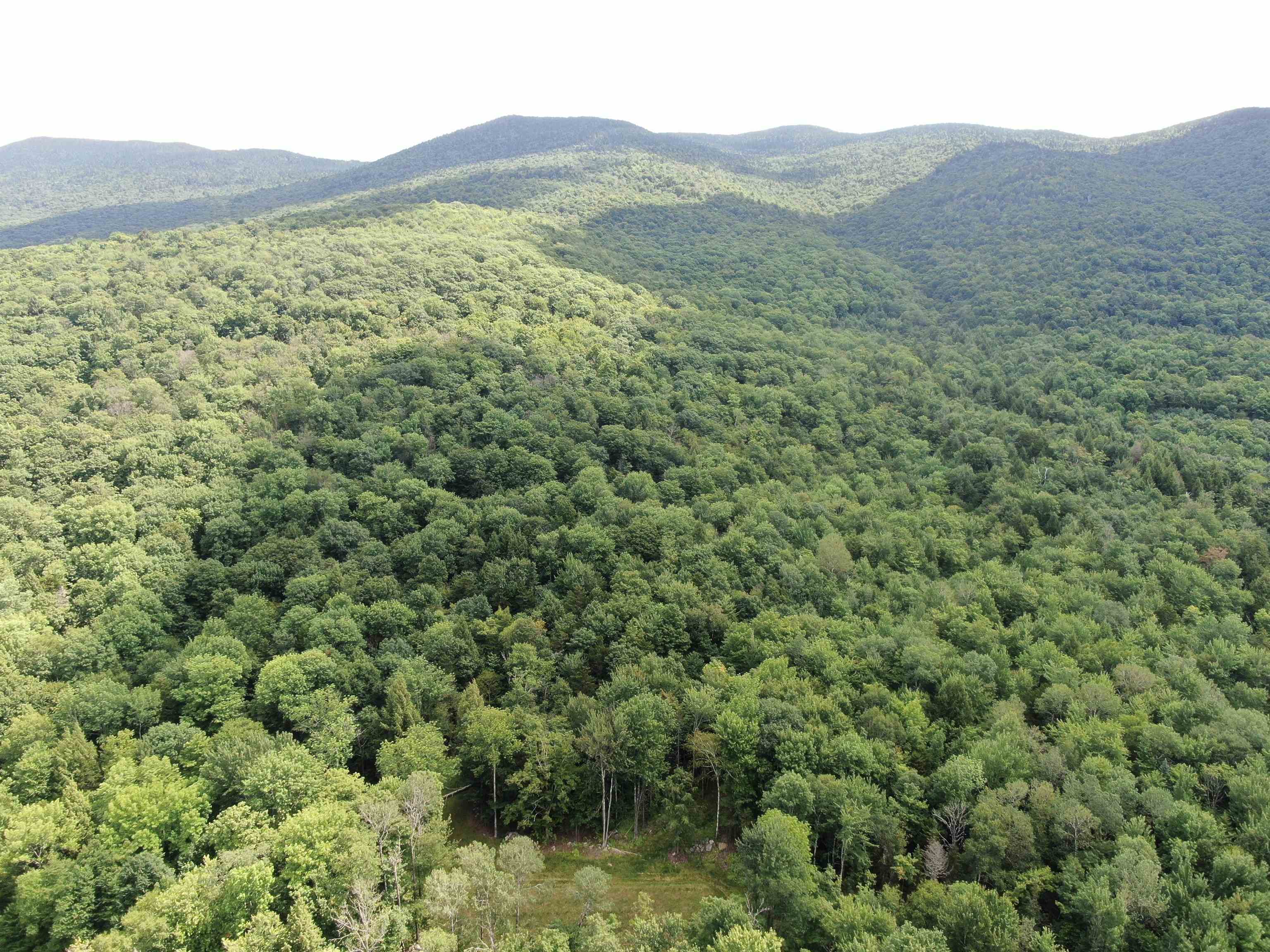 25 acres behind your building envelope and the Putnam Forest beyond!