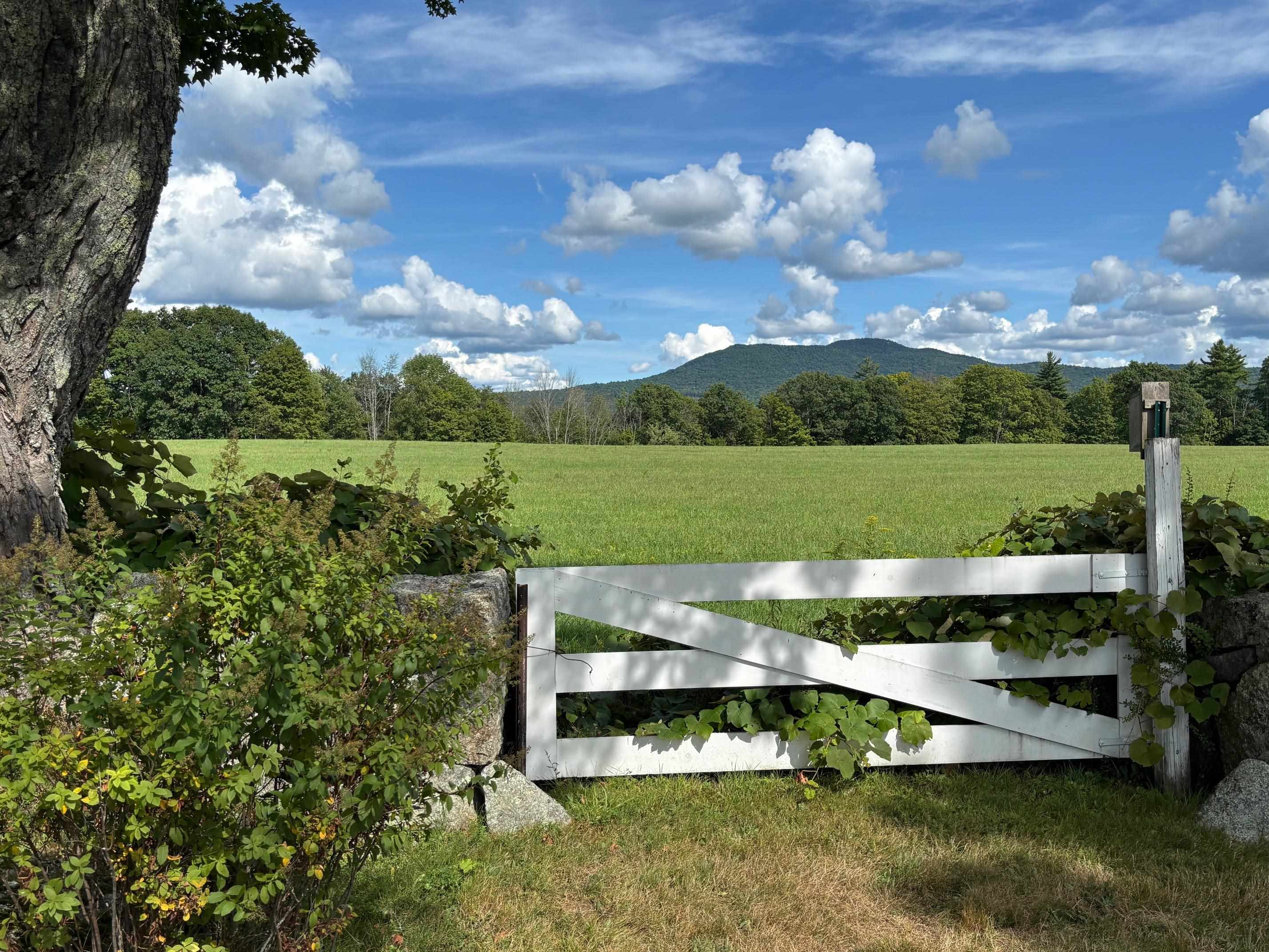 Mountain View 26105902