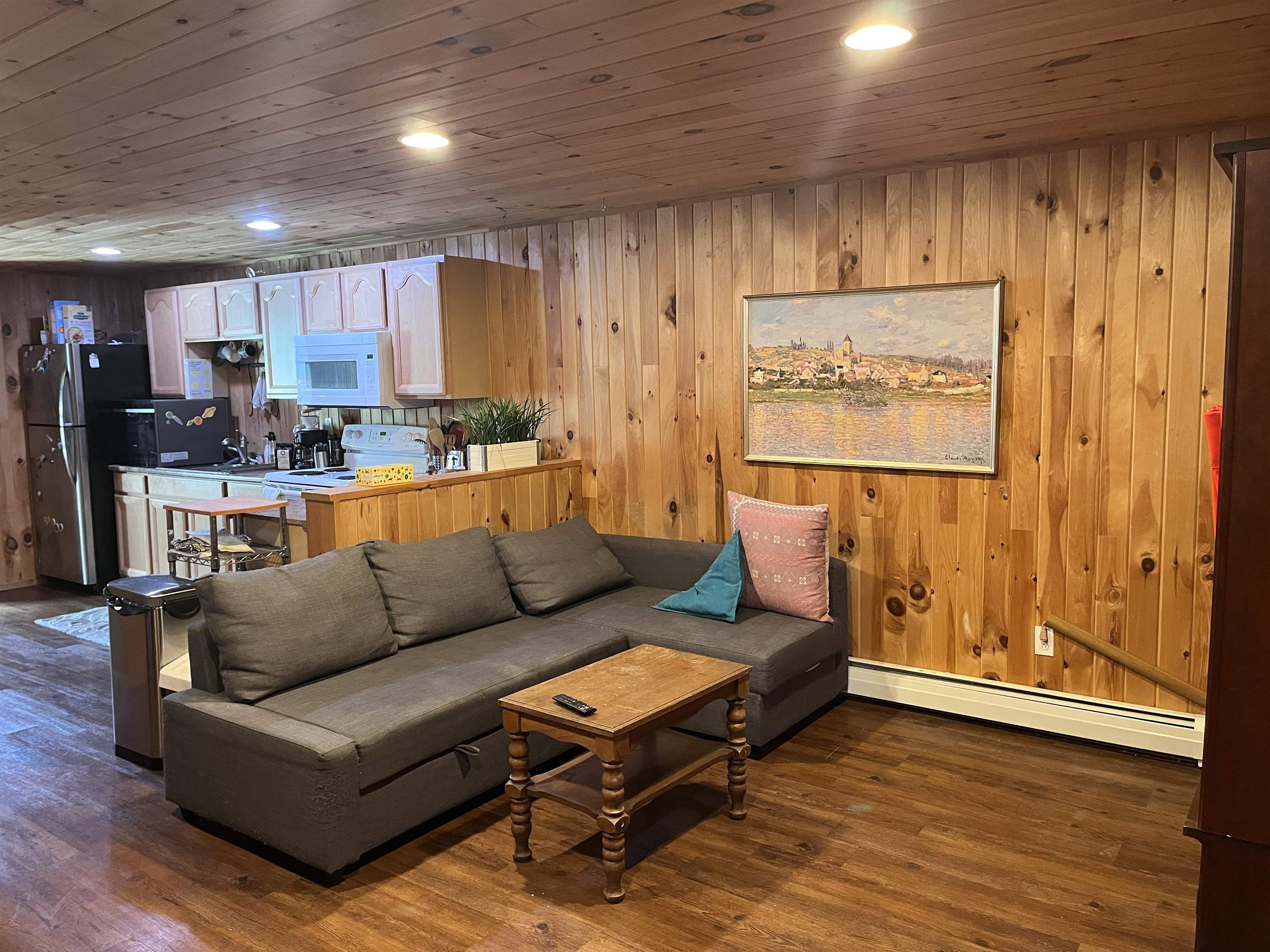 Basement Rec room