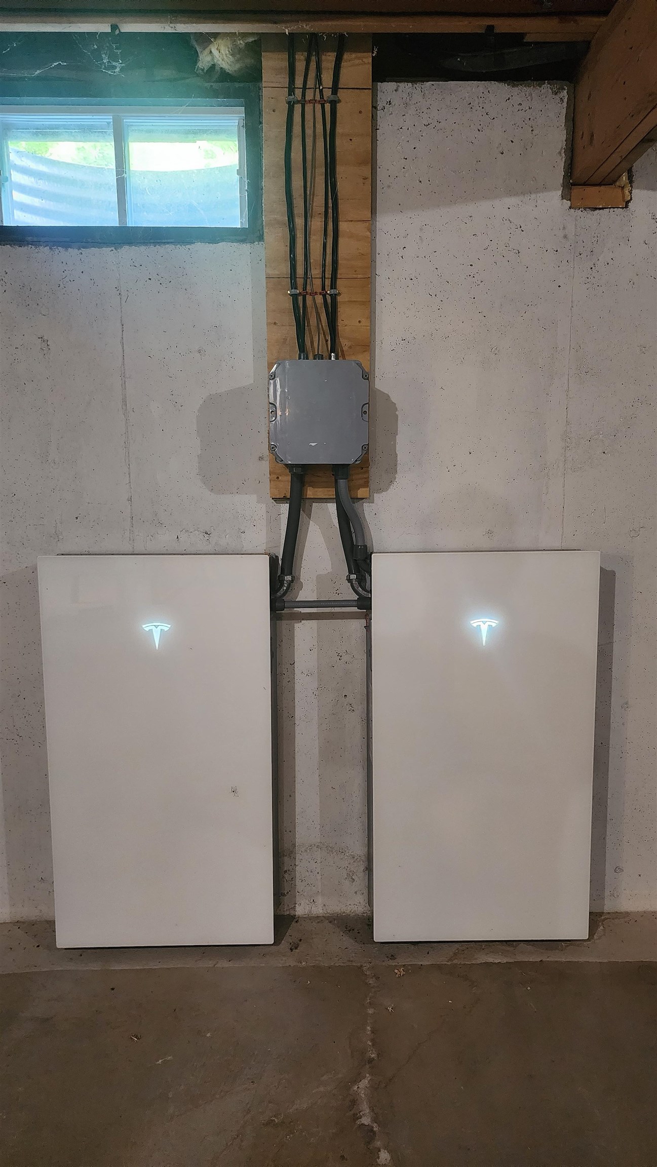 26039677