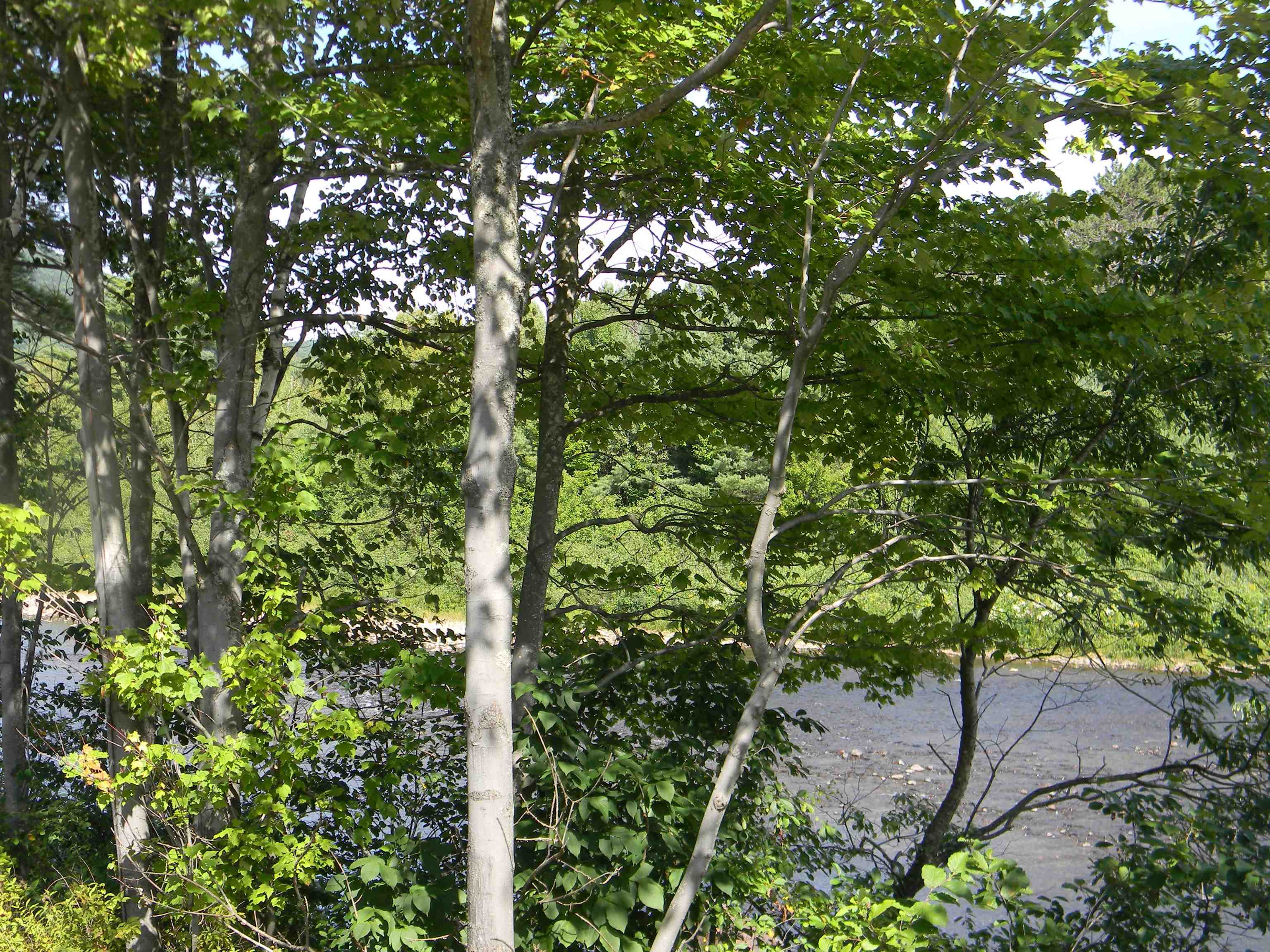 422 New Hampshire Route 110 Route, Northumberland, NH 03582