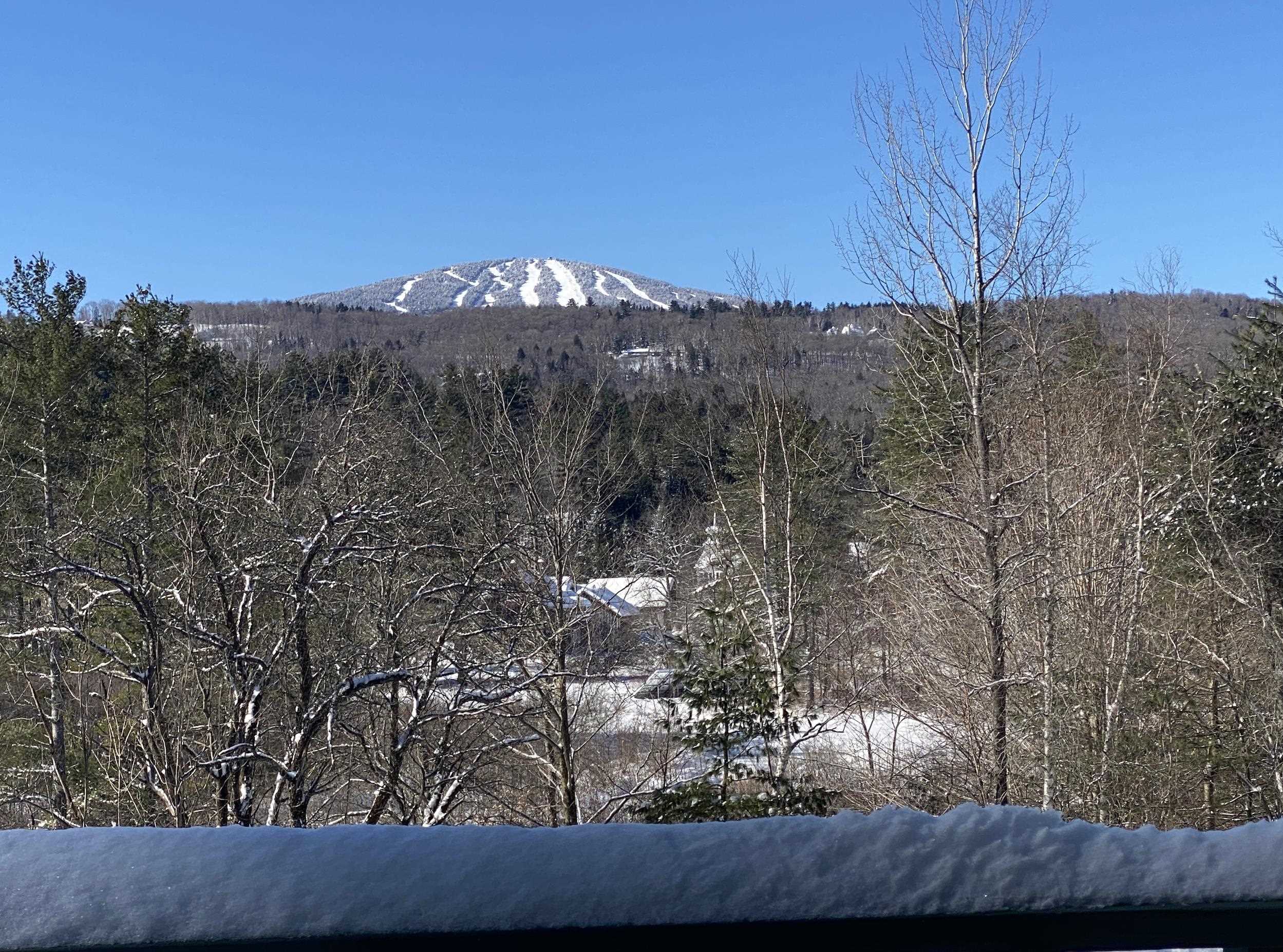 4th image of 19 Winhall Condo Rd #4, Winhall, VT 05340 | MLS# 5106209