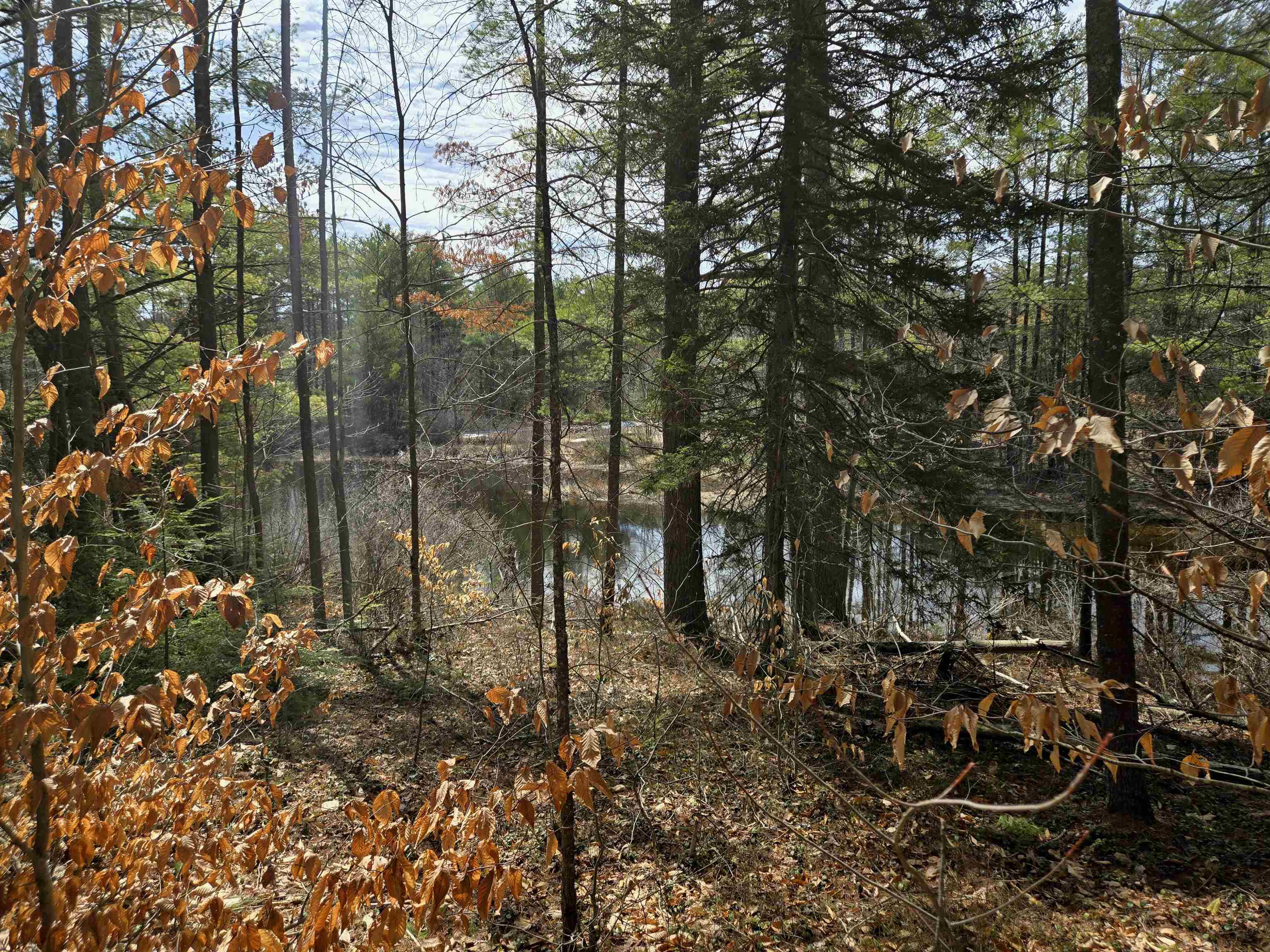 179 Chickville Rd, Ossipee, NH 03864