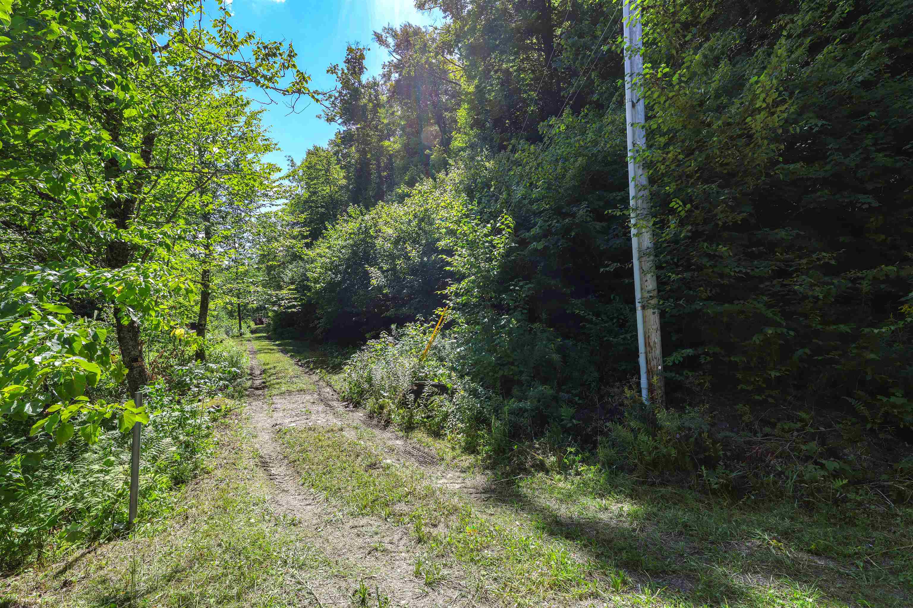 Willow Rd Driveway