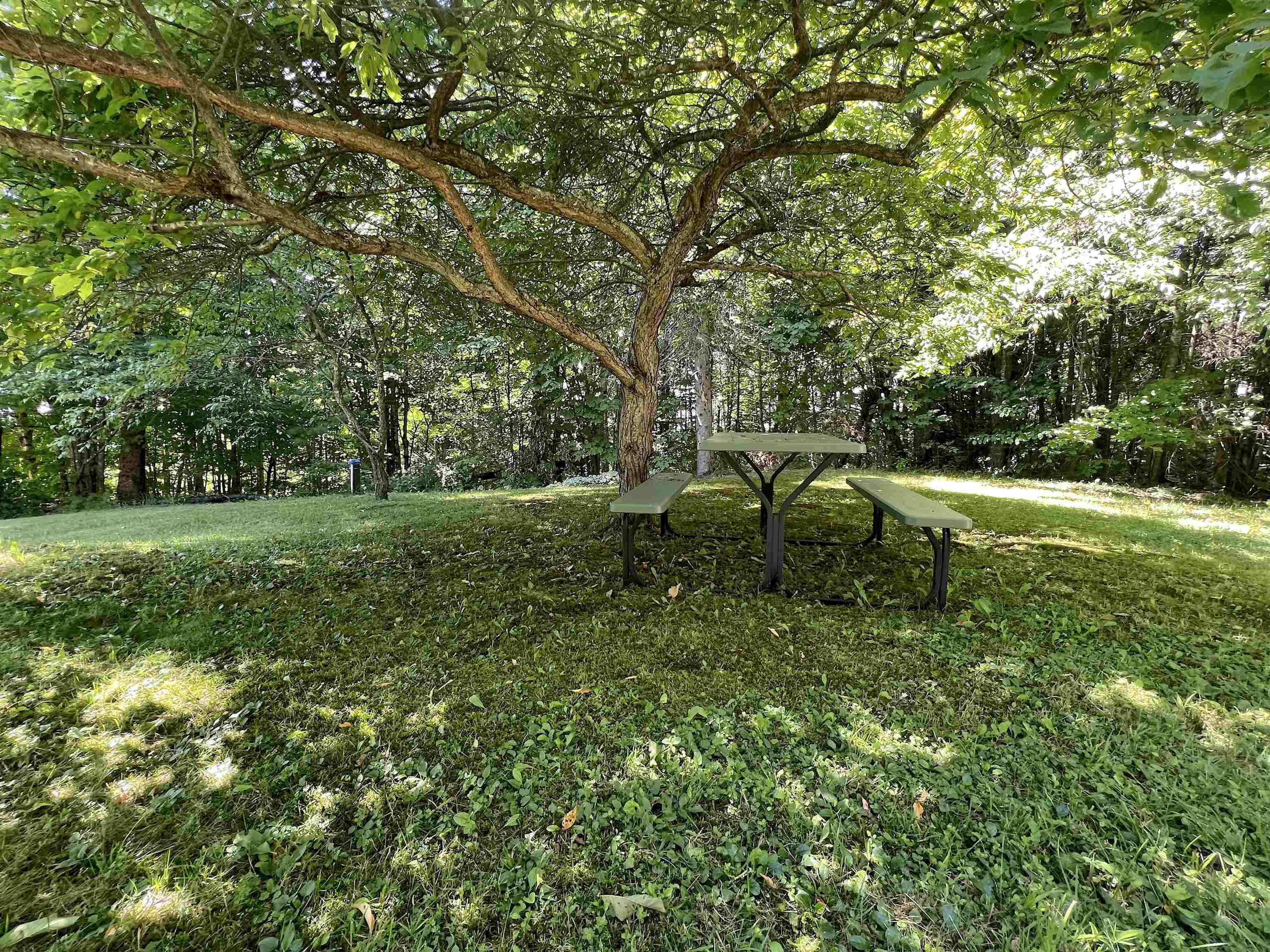 Side Yard