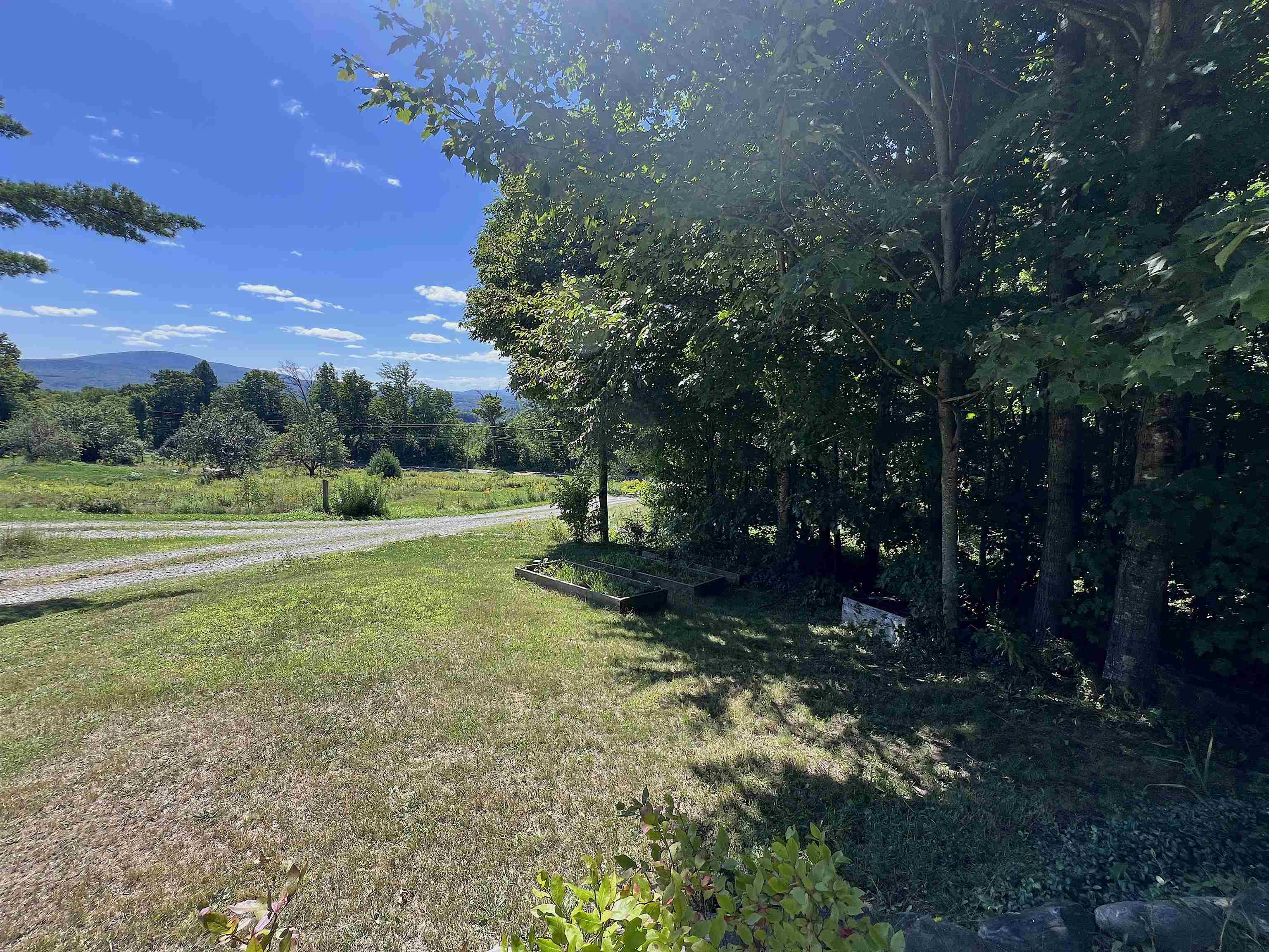 Clearing Near Road