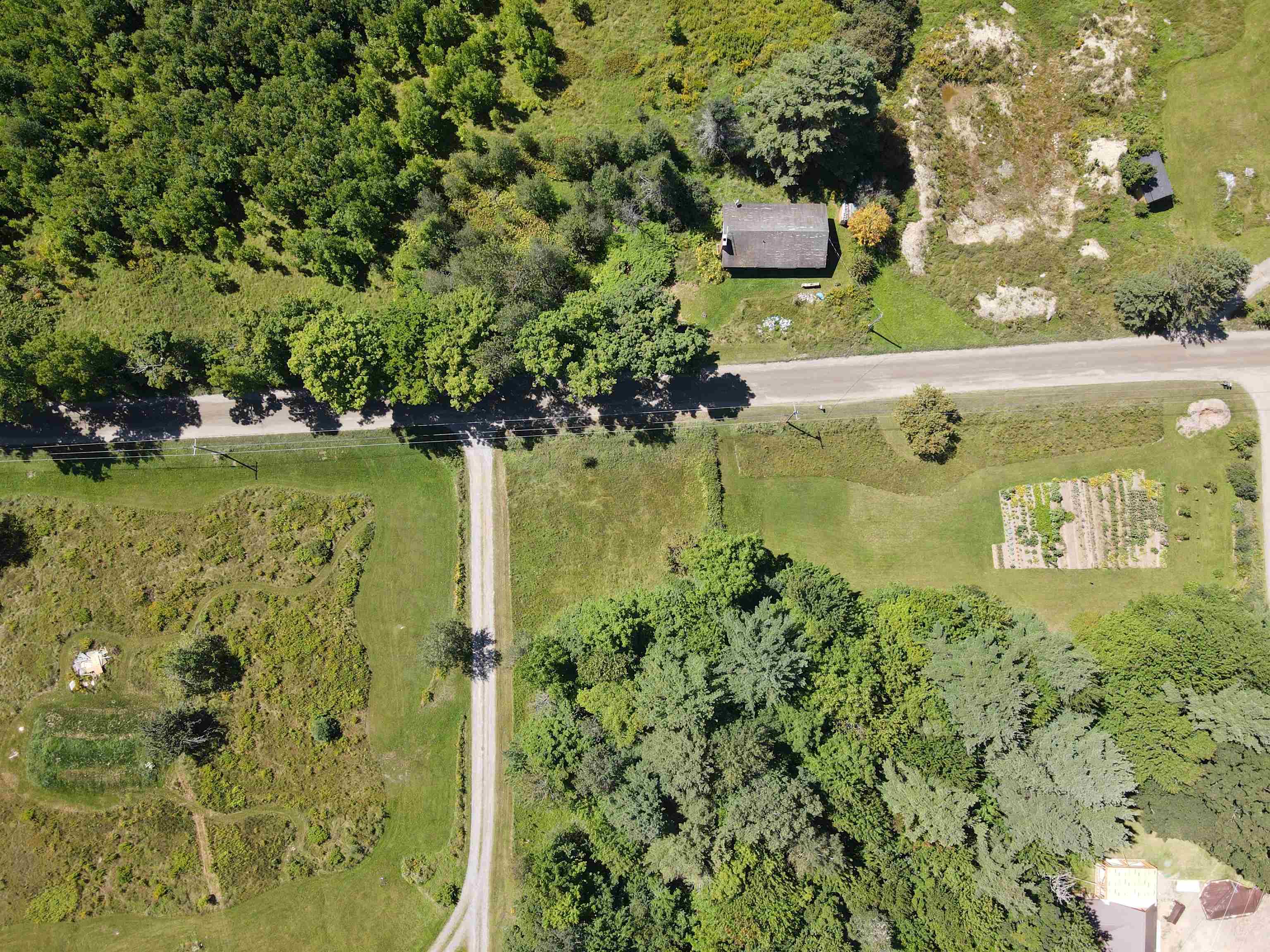 Clearing Near Road