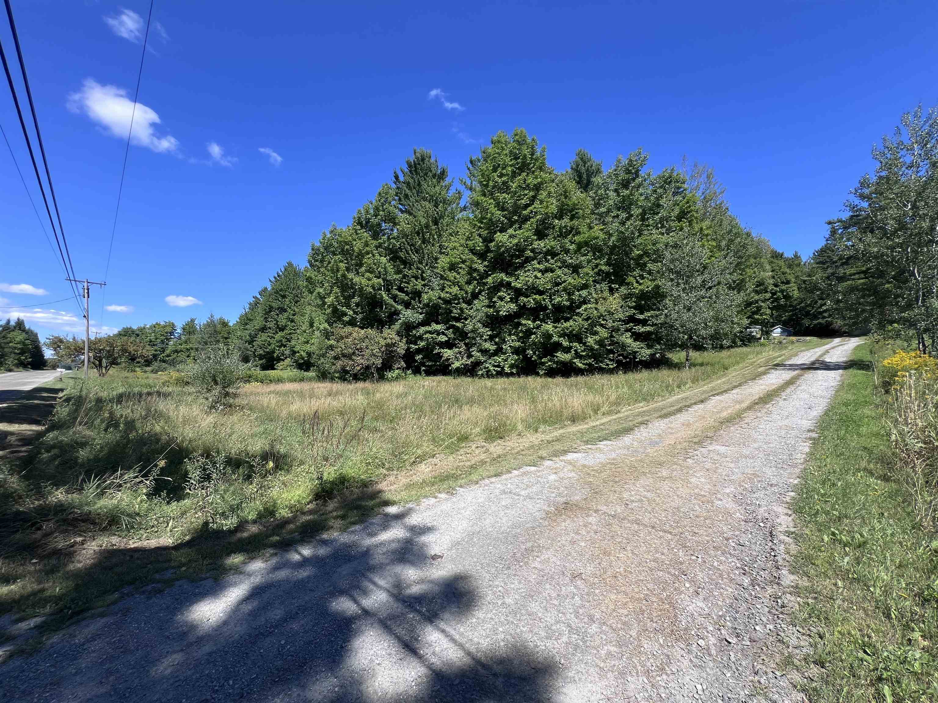 Clearing Near Road