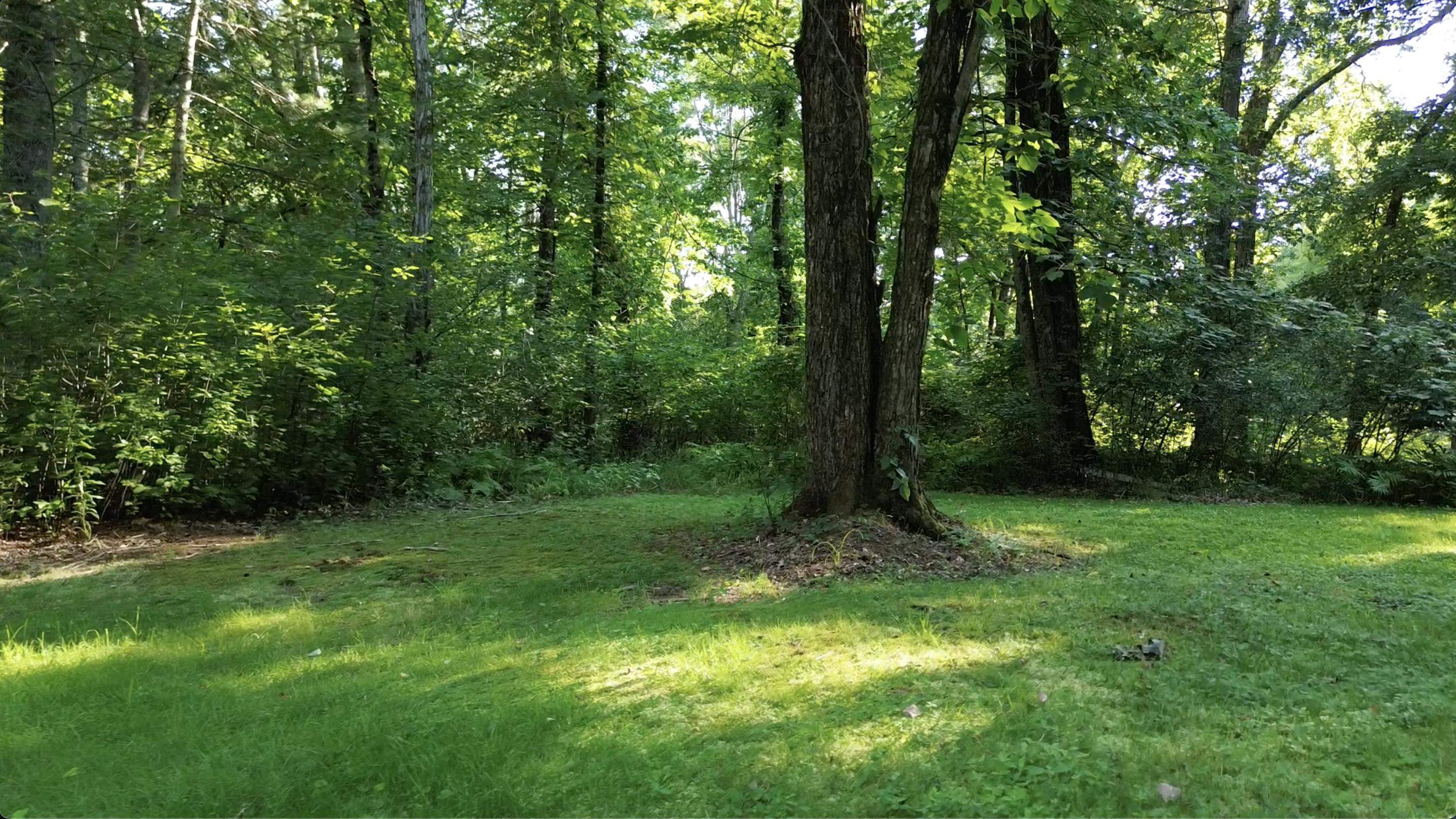 25 Chagnon Ln, Pelham, NH 03076