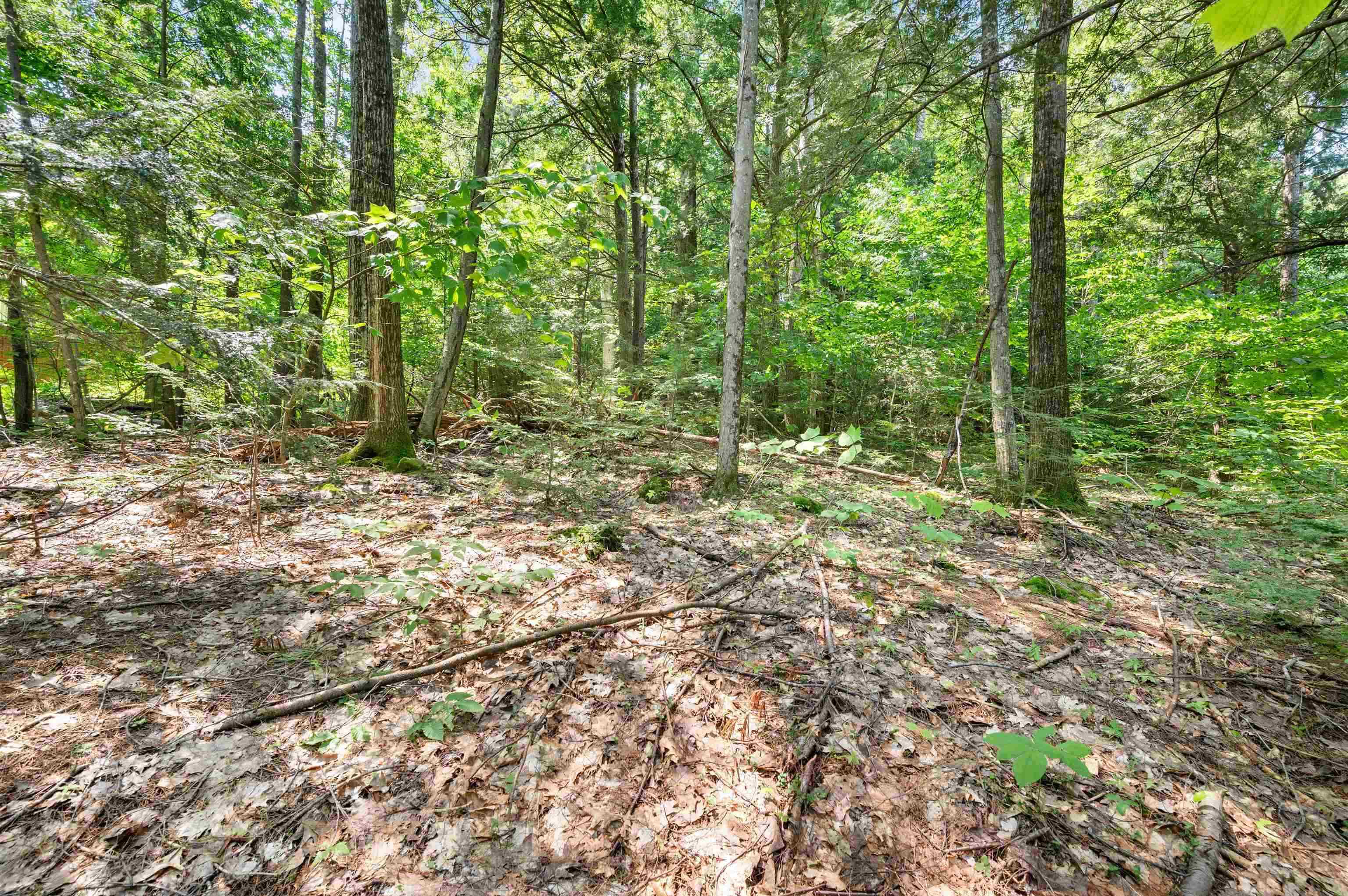 34 Leisure Dr, Gilford, NH 03249