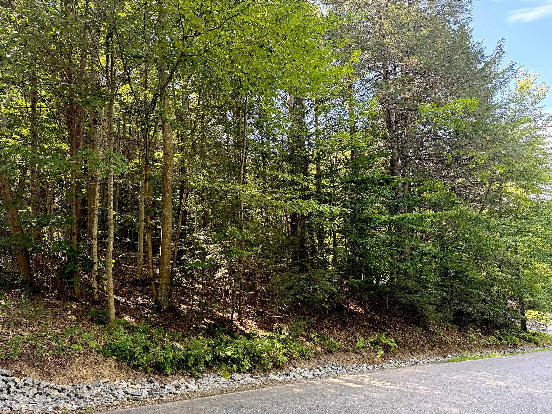 34 Leisure Dr, Gilford, NH 03249