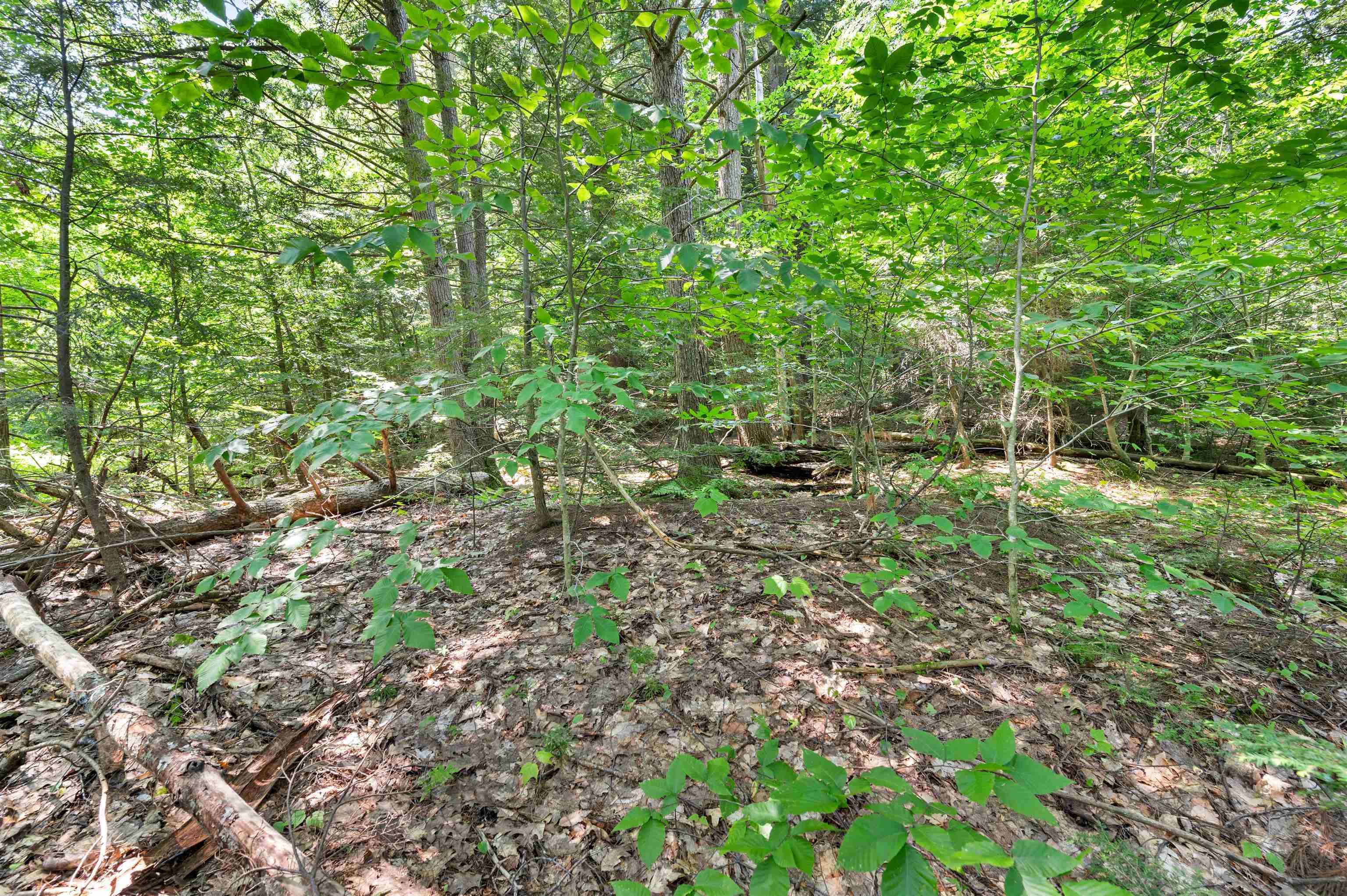 34 Leisure Dr, Gilford, NH 03249
