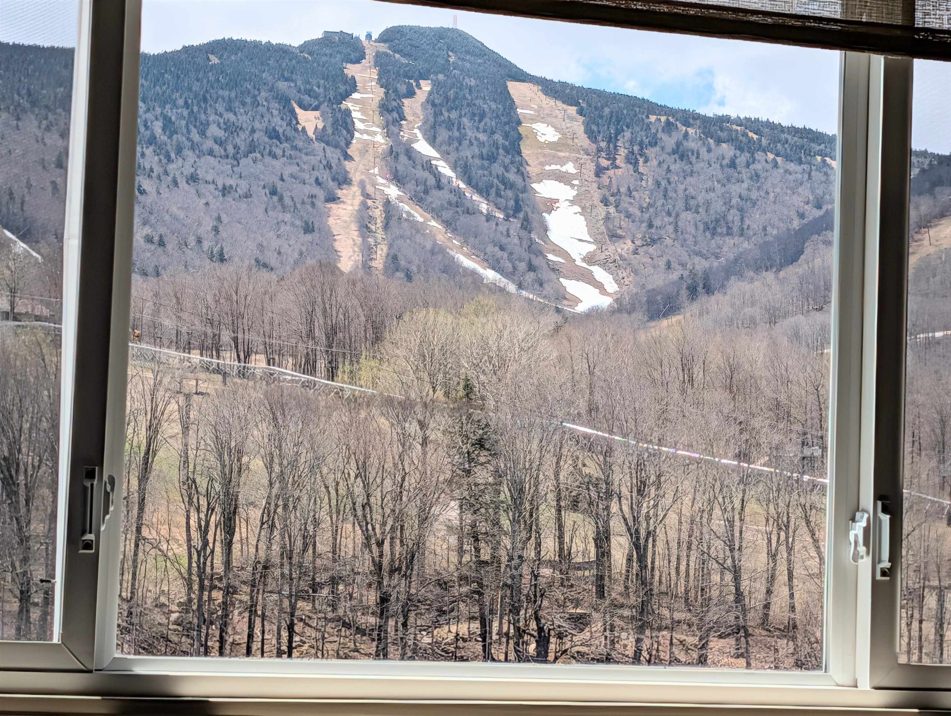Bedroom window view!