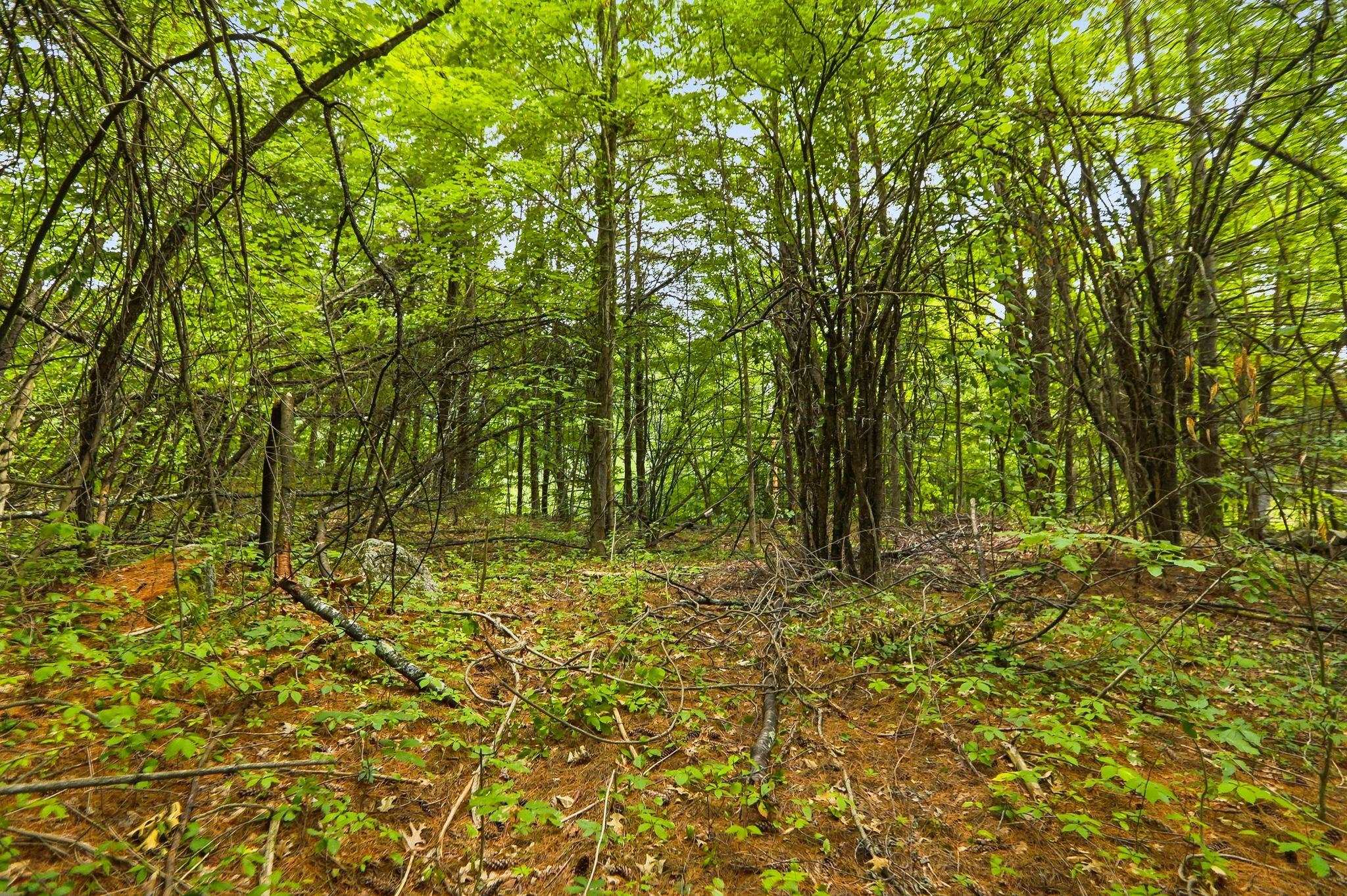 00 Dow Rd, Meredith, NH 03253