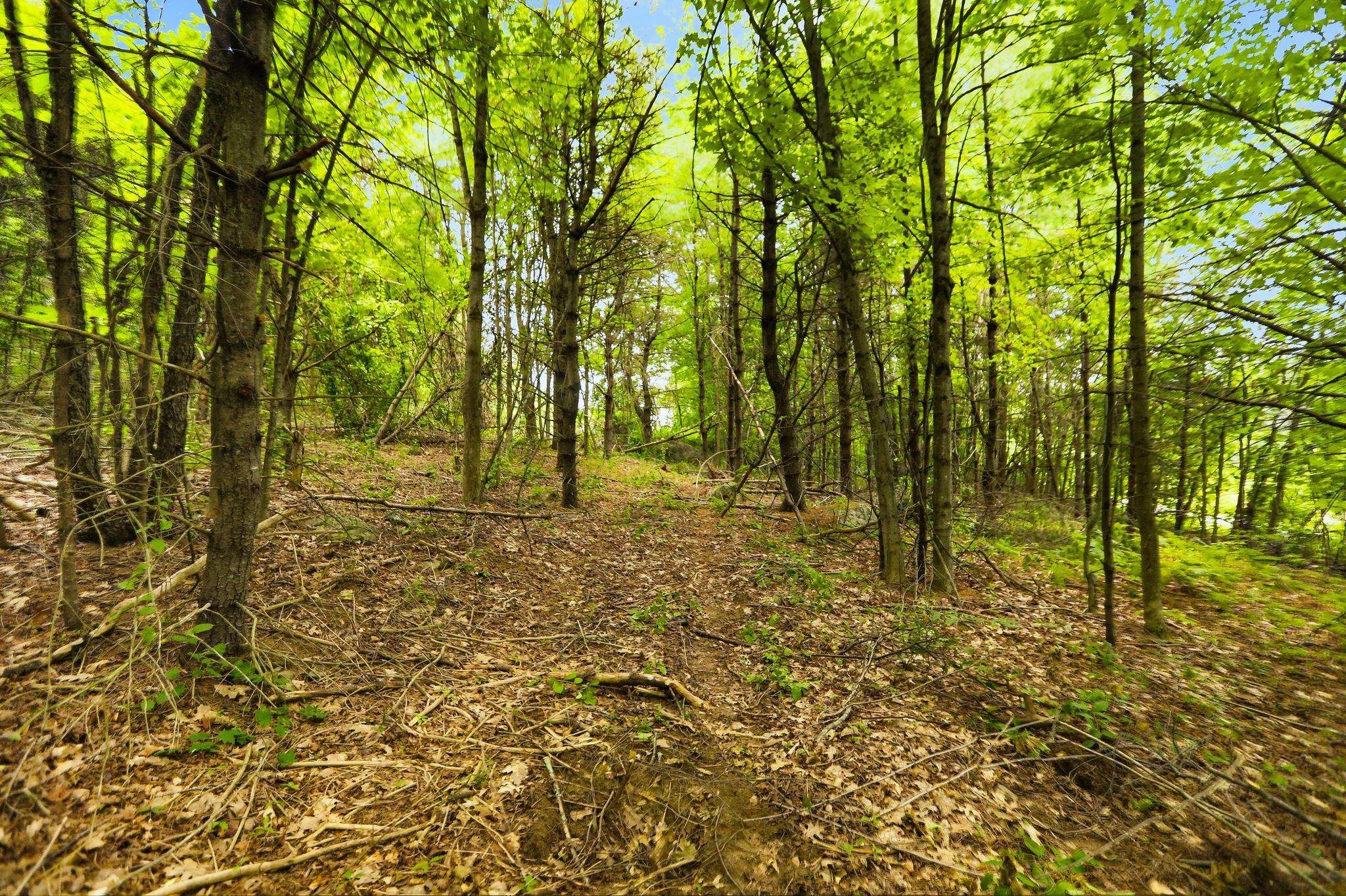 00 Meredith Center Rd, Meredith, NH 03253