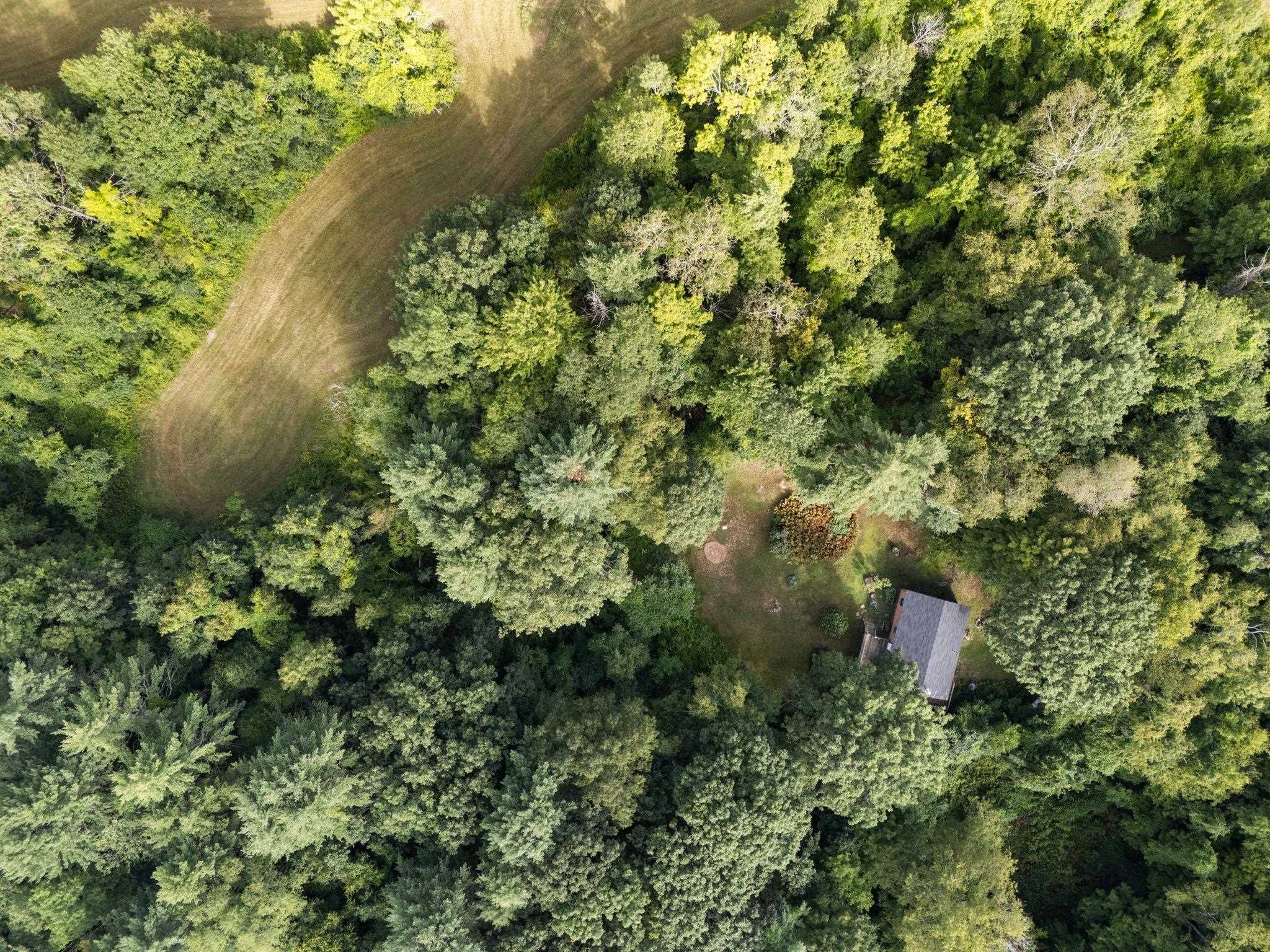 Cleared land next to house part of this property.