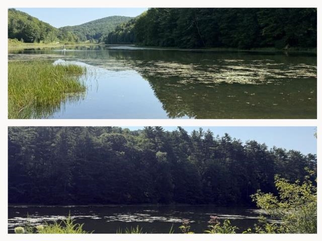 Short drive to Weatherhead pond.