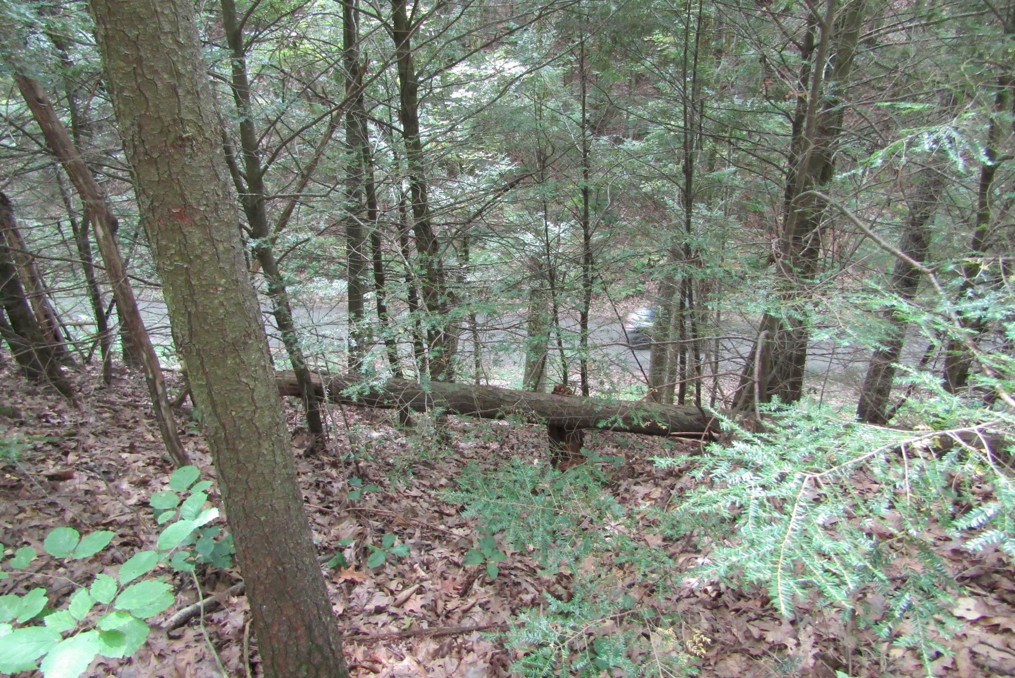 rail trail