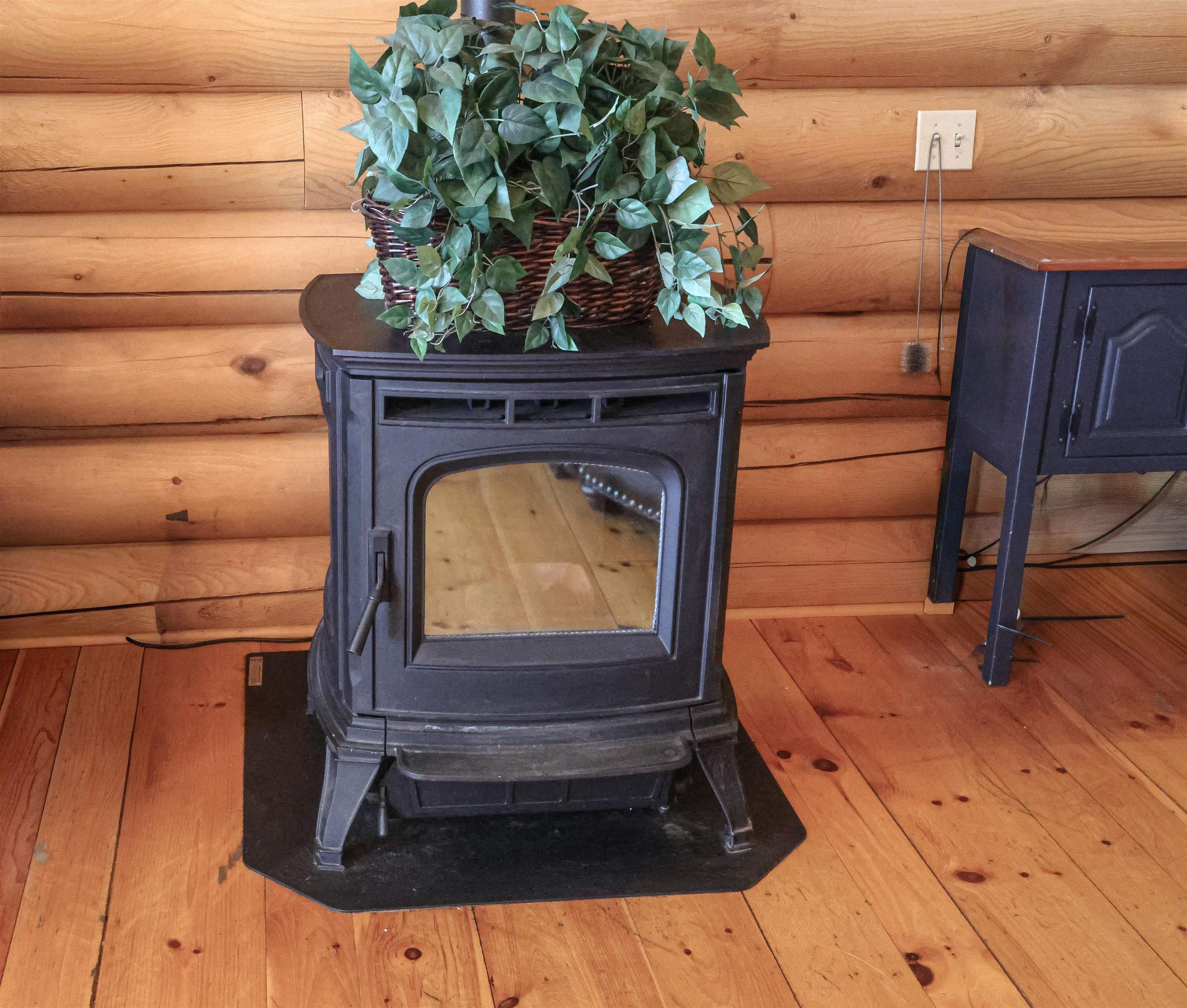 Pellet Stove in Living Room