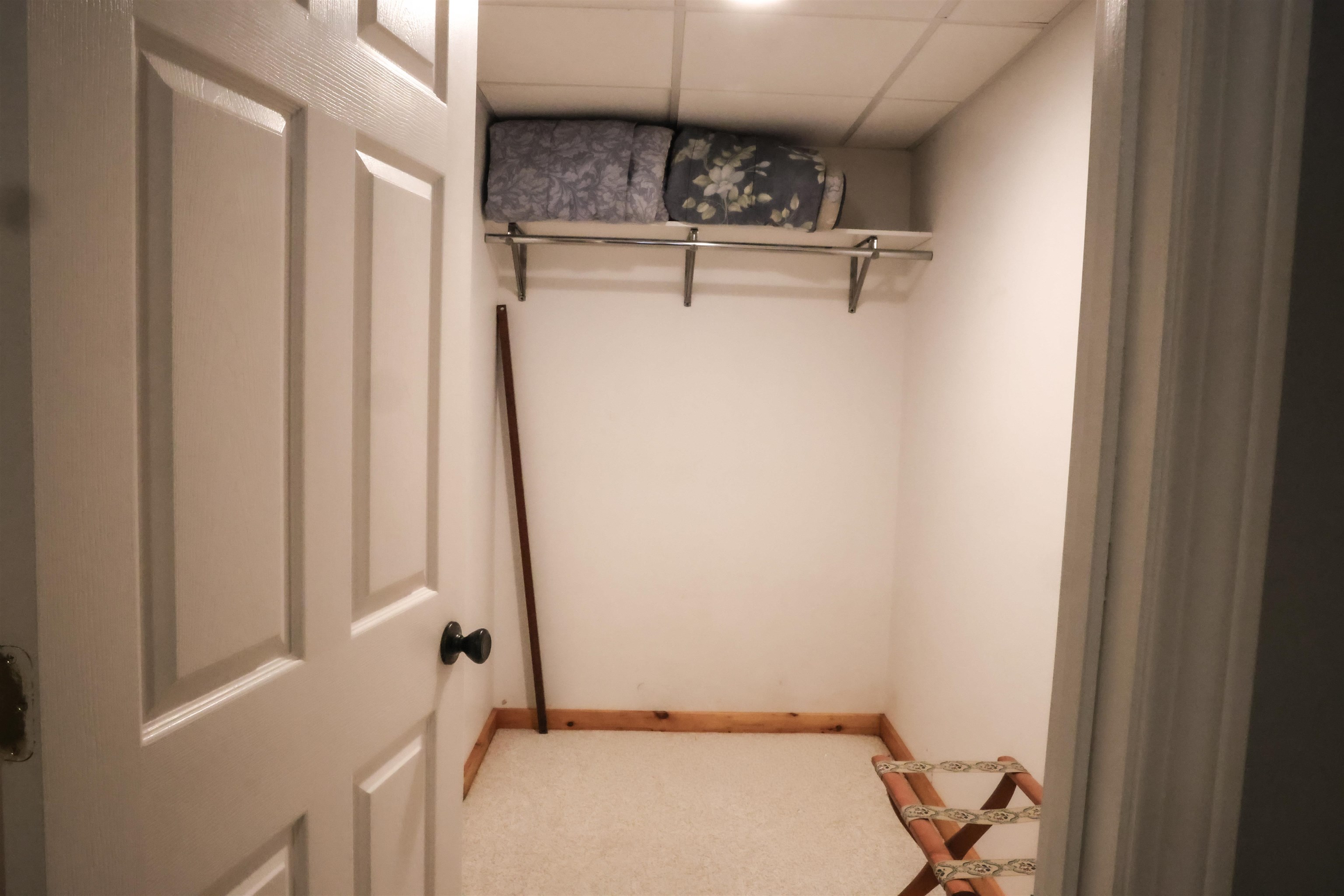Lower Level Bedroom Closet
