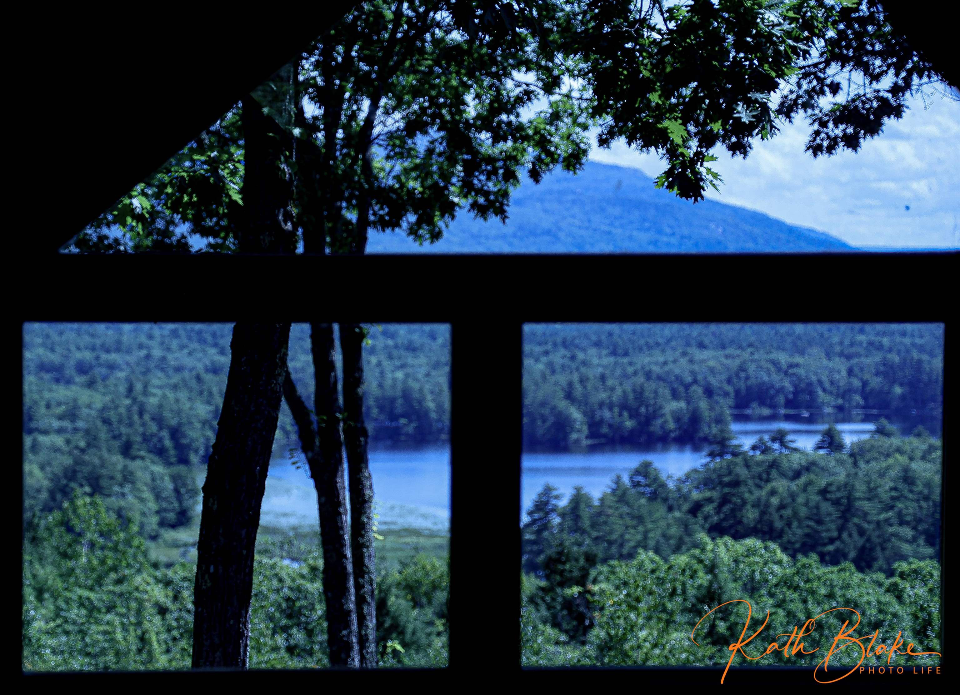 Lee