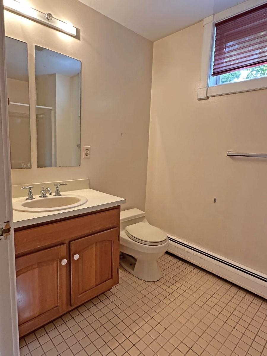 Lower Level Hall Bathroom