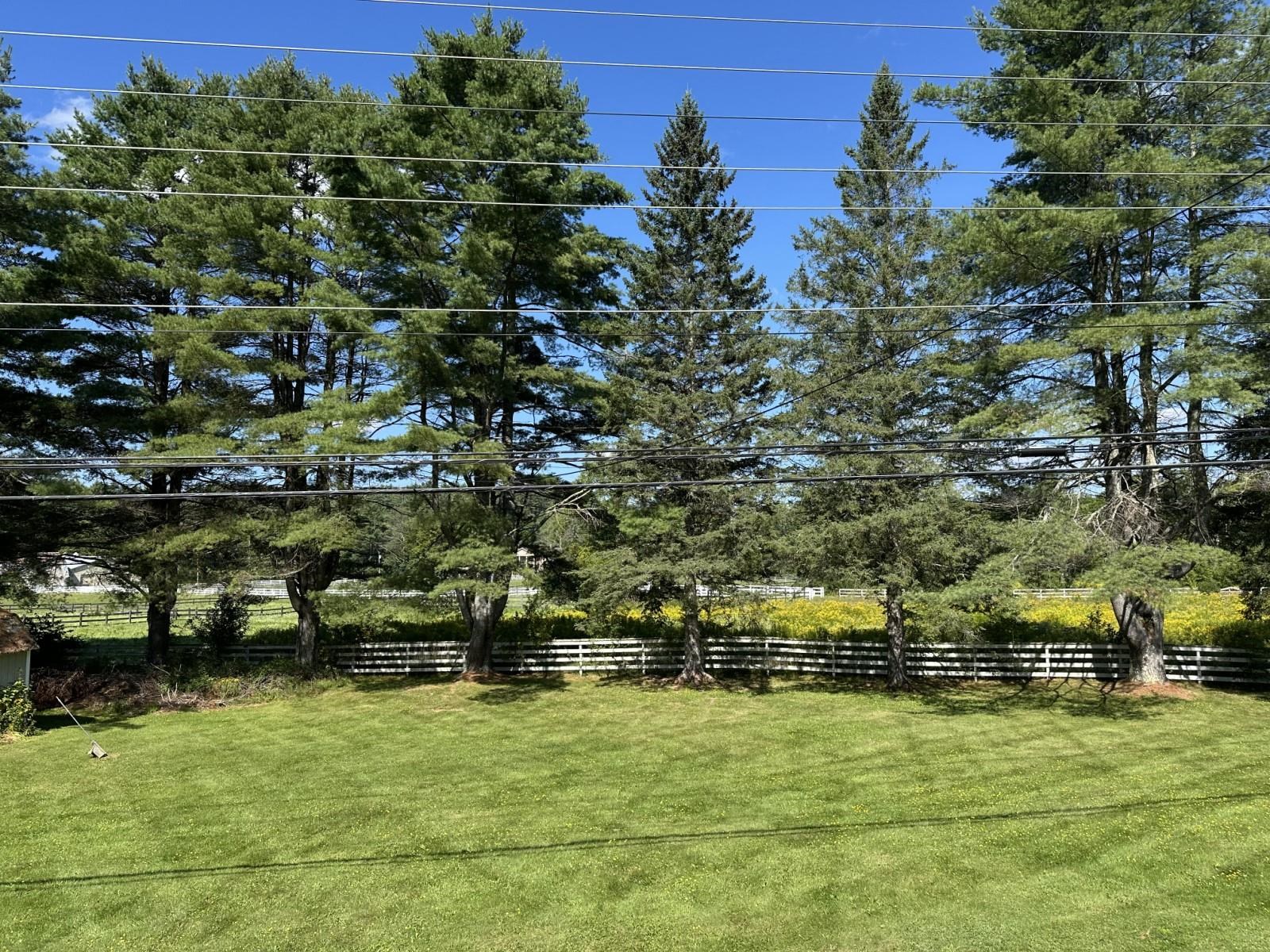Large, Level Backyard - Ready for Fun!