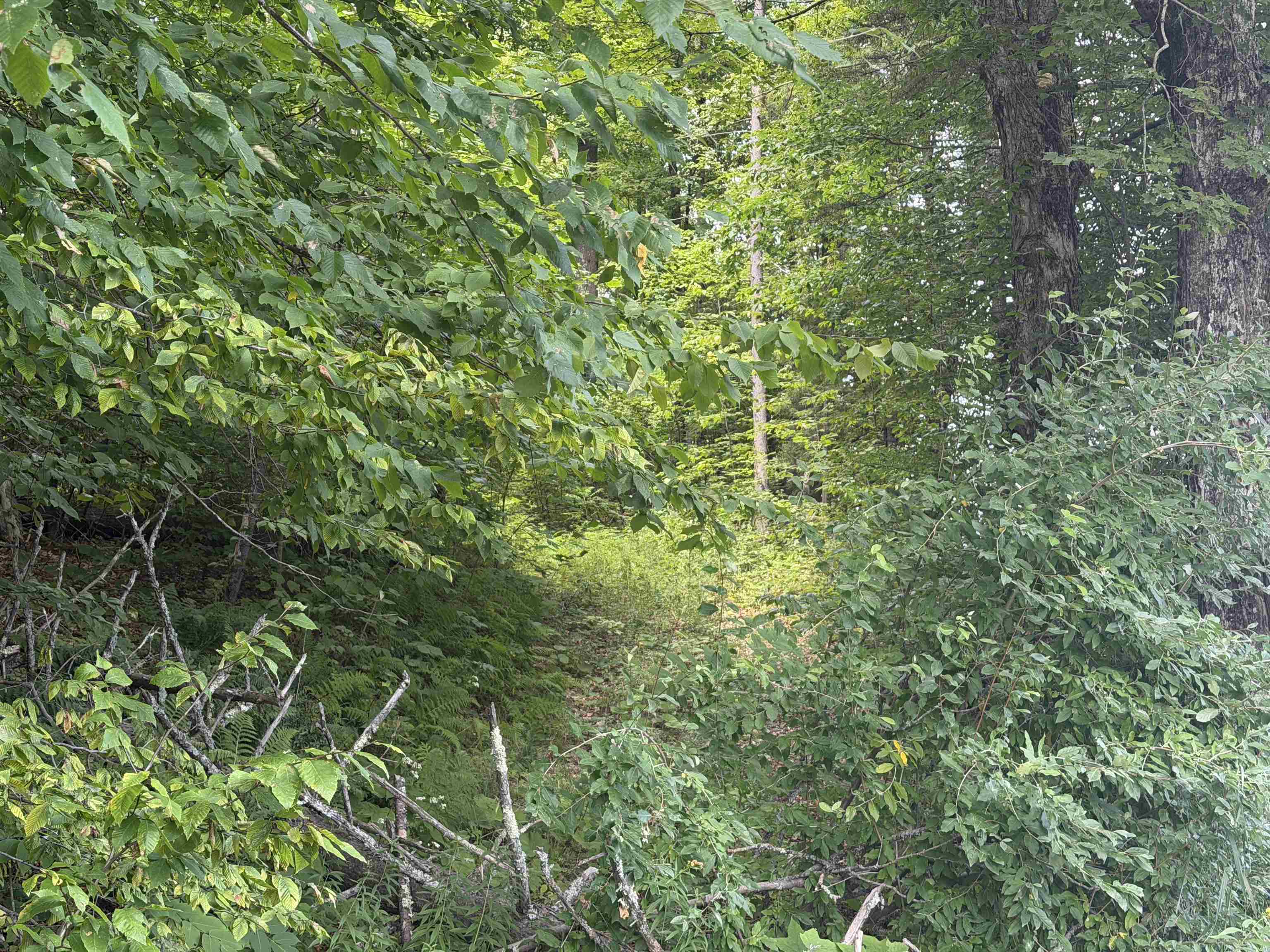 South Perry Rd. Access