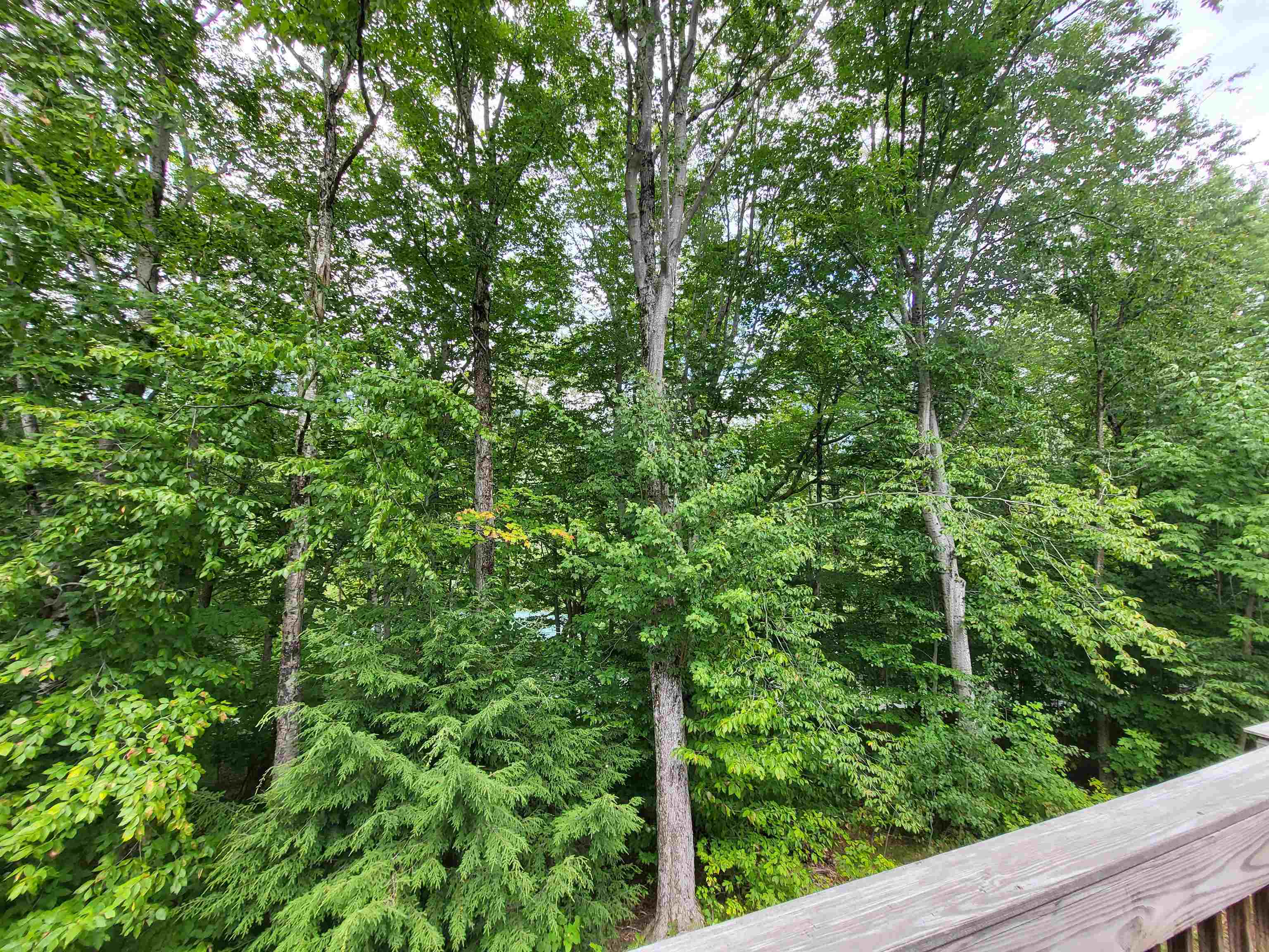 12 Kernwood Dr #2, Lincoln, NH 03251