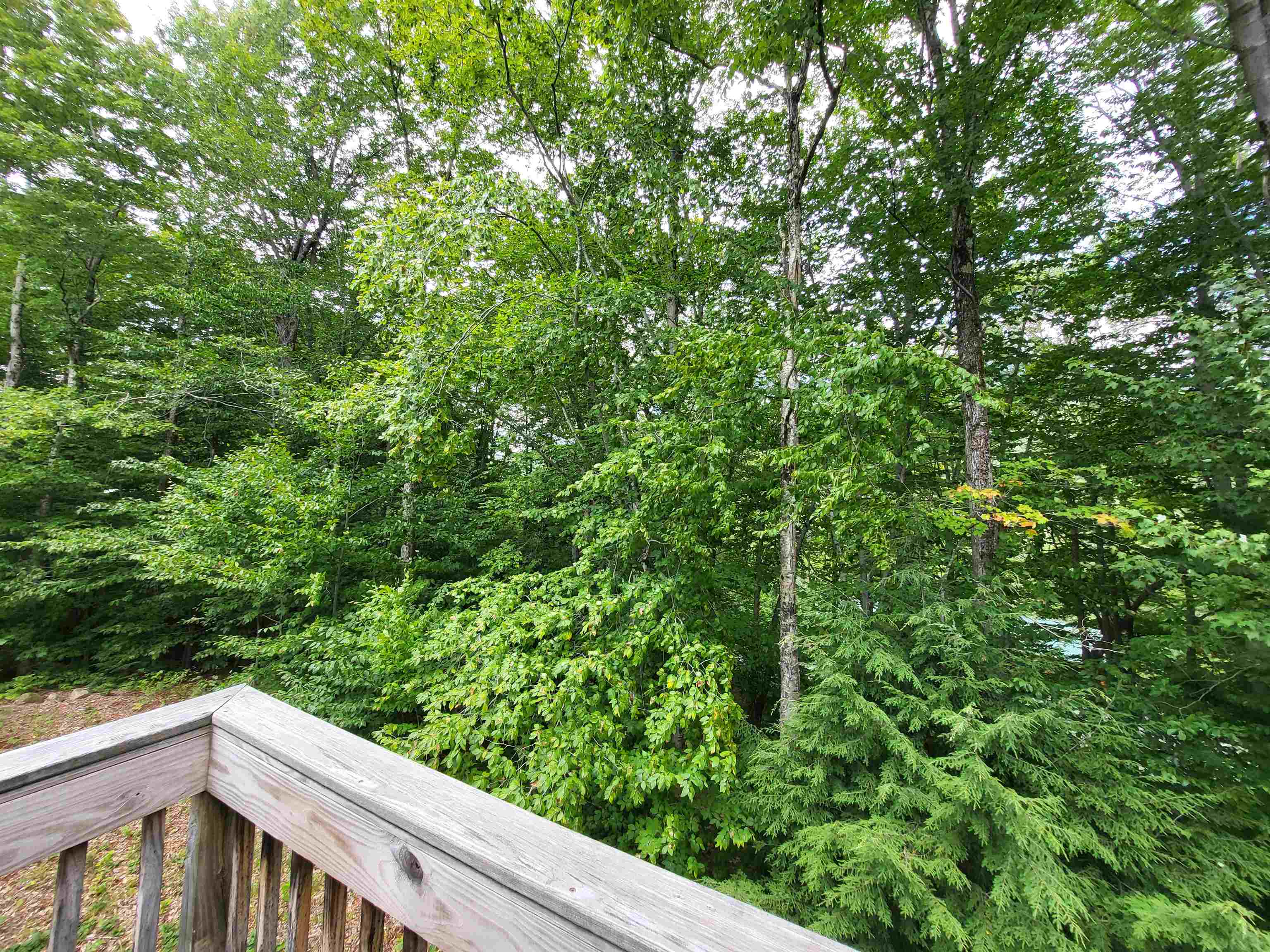 12 Kernwood Dr #2, Lincoln, NH 03251