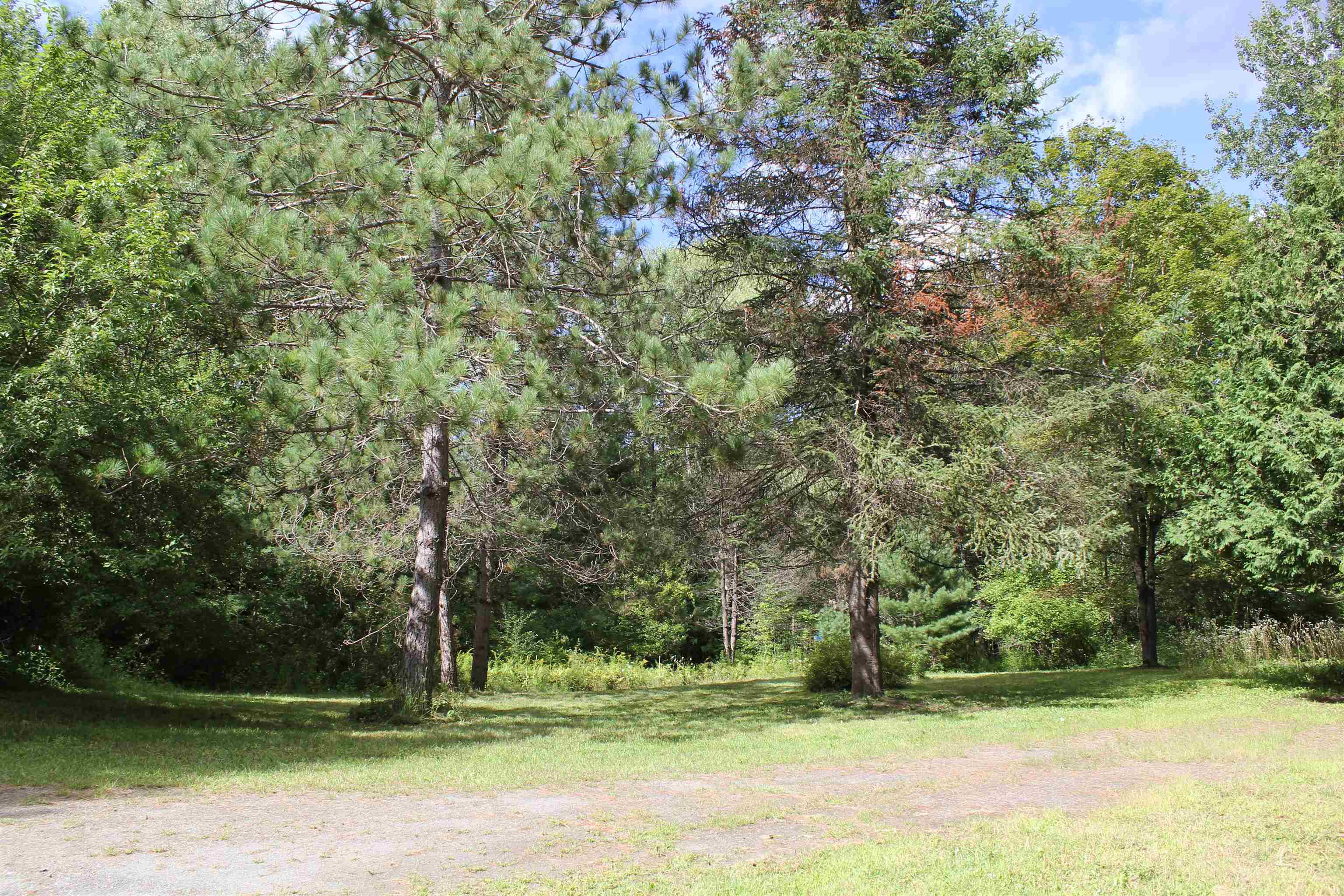 Lawn Area