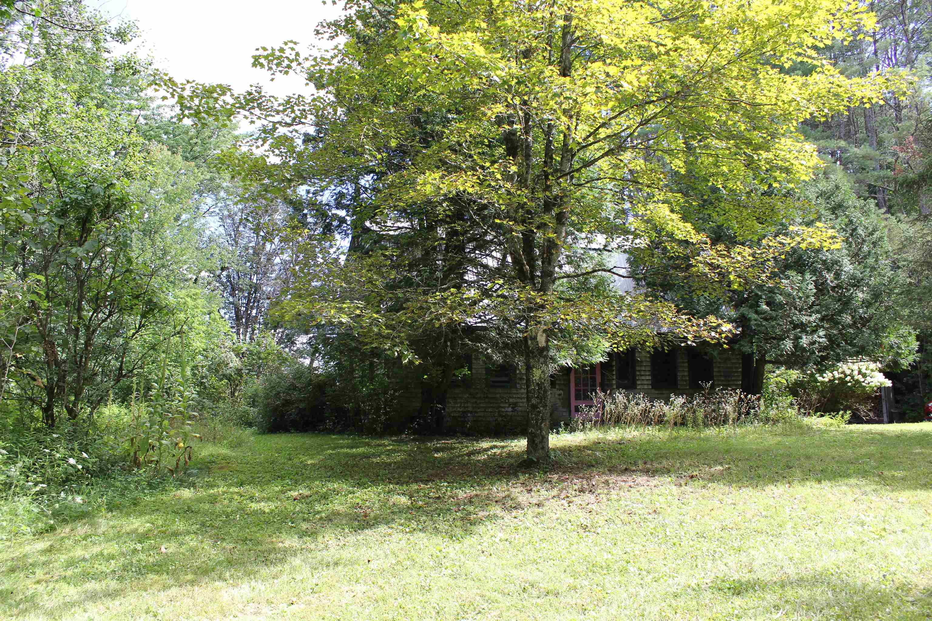 Lawn Area