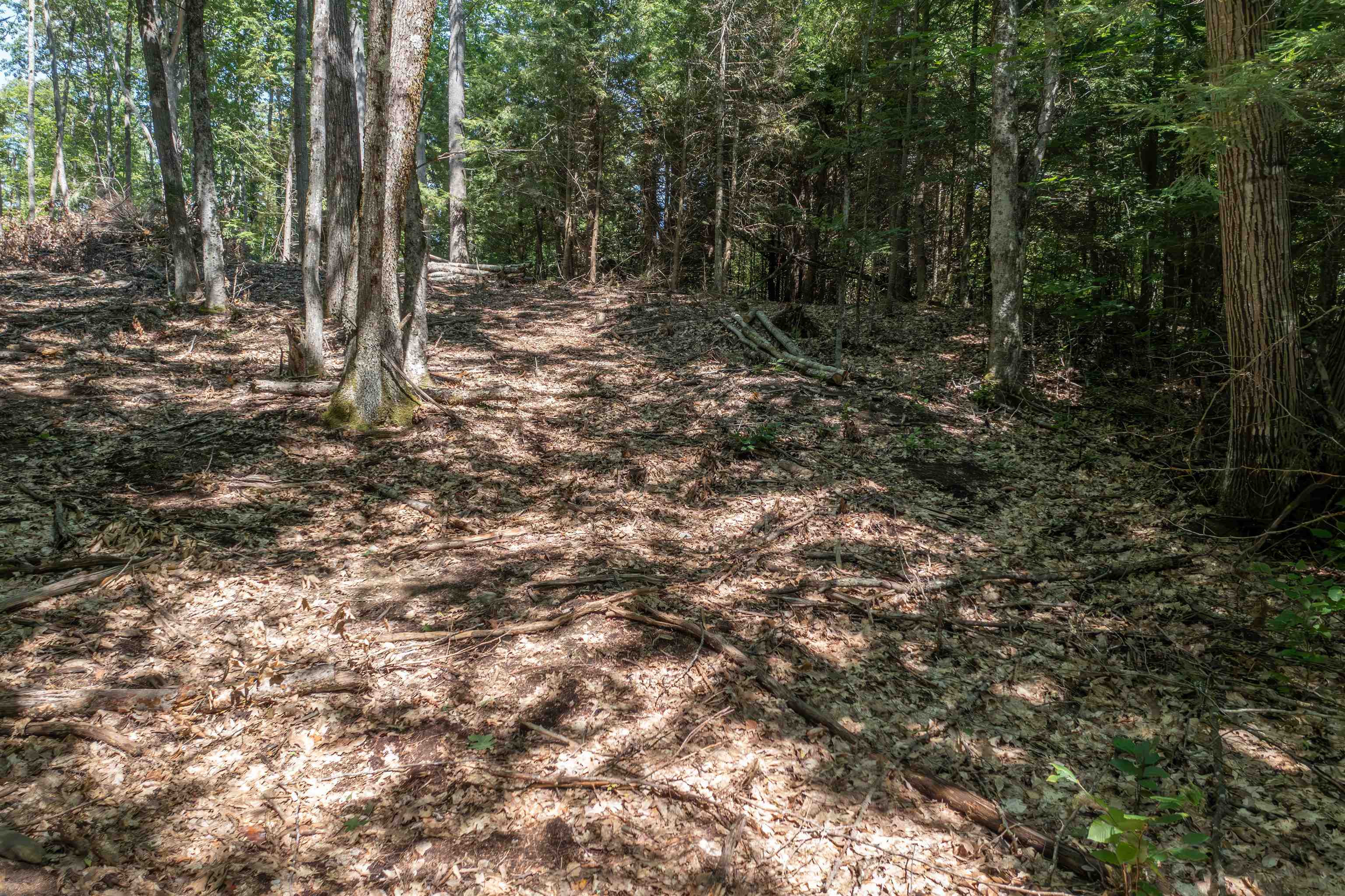 13 Windgate Ter, Haverhill, NH 03765