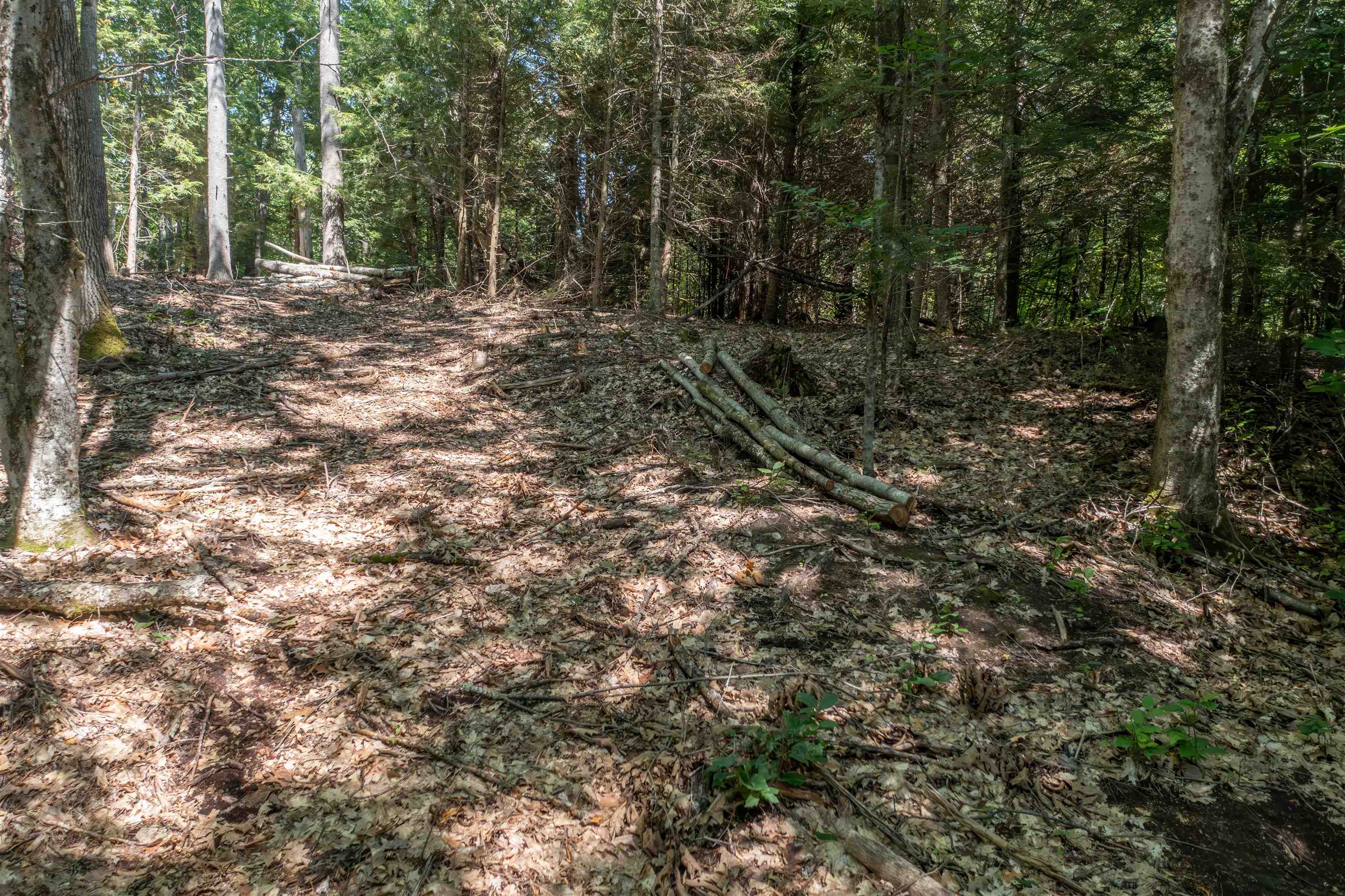13 Windgate Ter, Haverhill, NH 03765