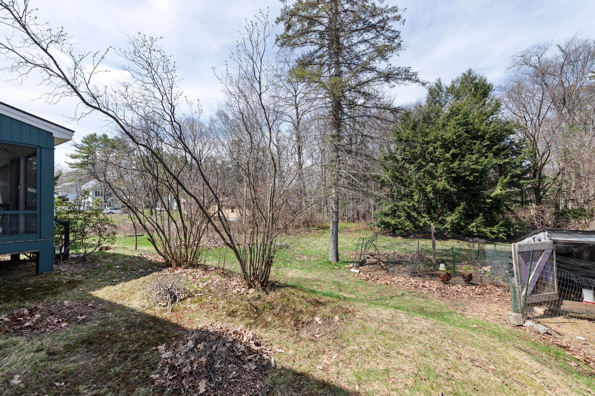 Great space for your chickens!