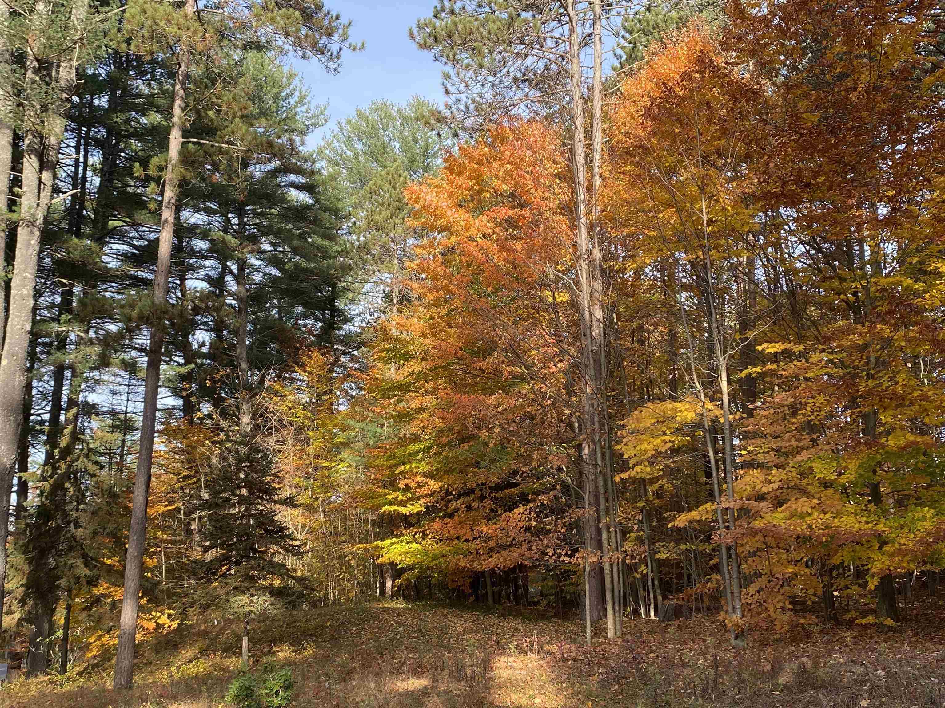 649 Jewett Rd, Hopkinton, NH 03229