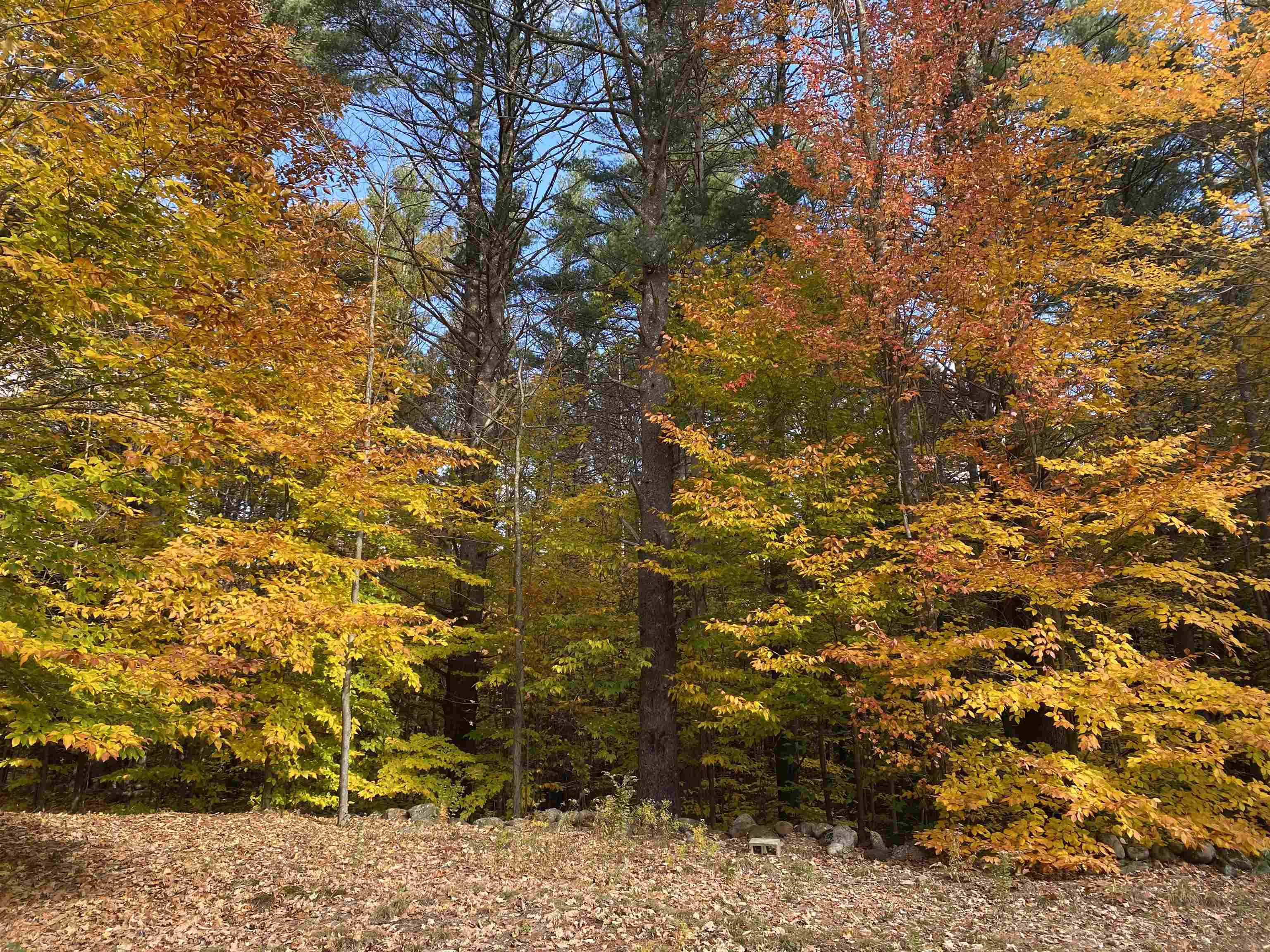 649 Jewett Rd, Hopkinton, NH 03229