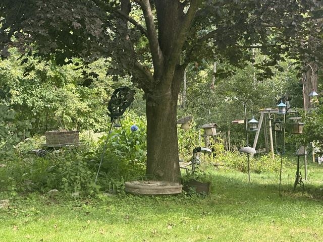 Photo 8 of 60