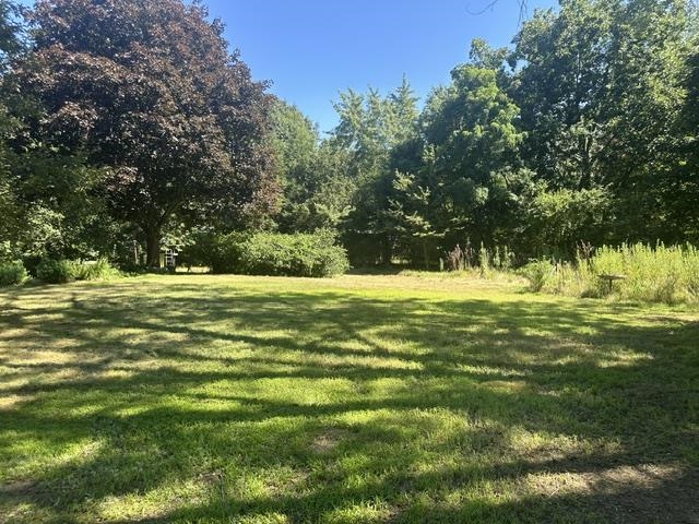 Photo 9 of 55