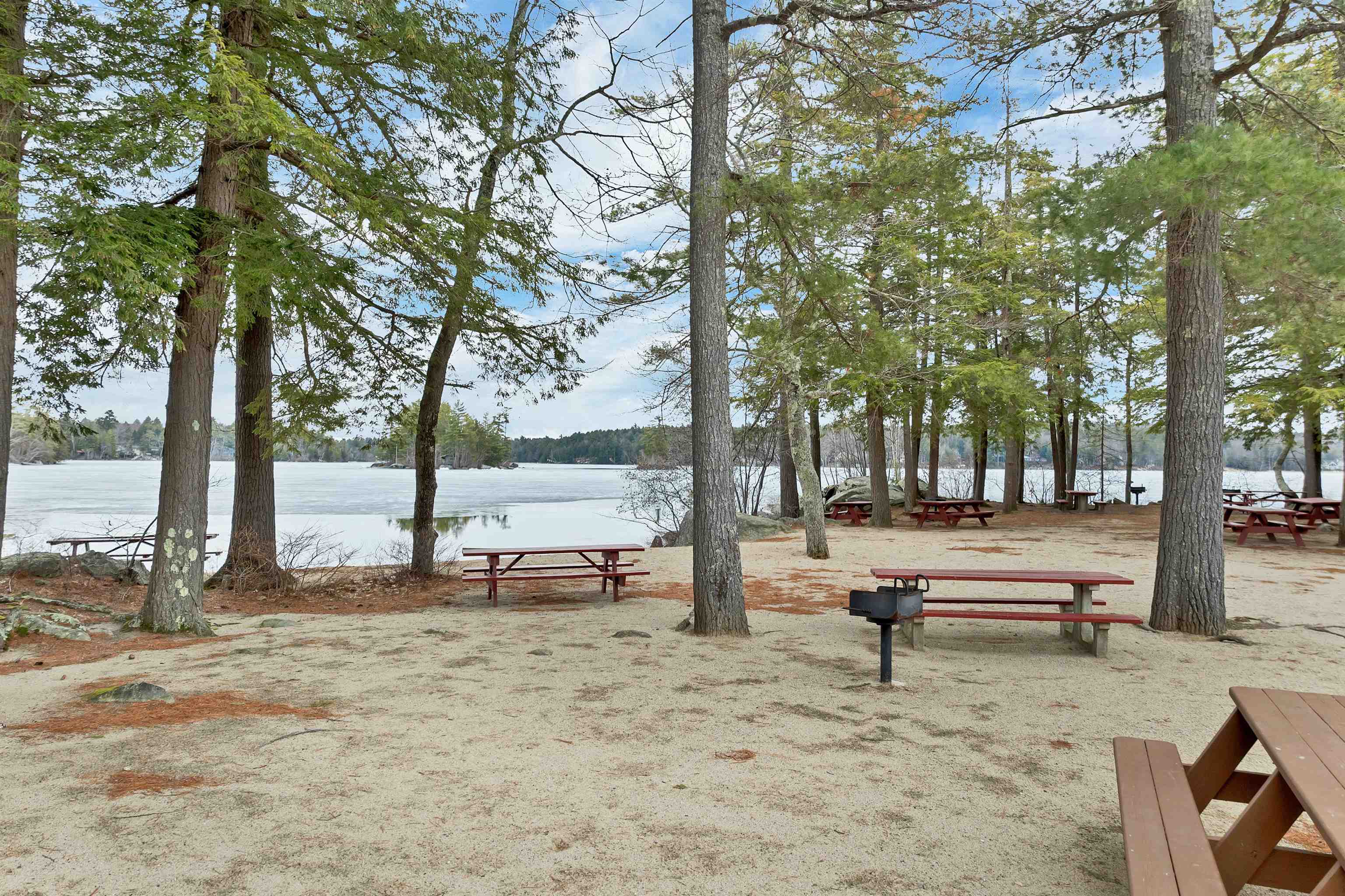 Suissevale Beach + Hibachi