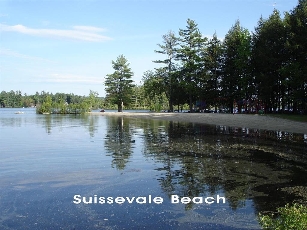 Beach Area