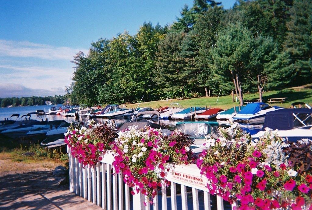 Docks With Boats