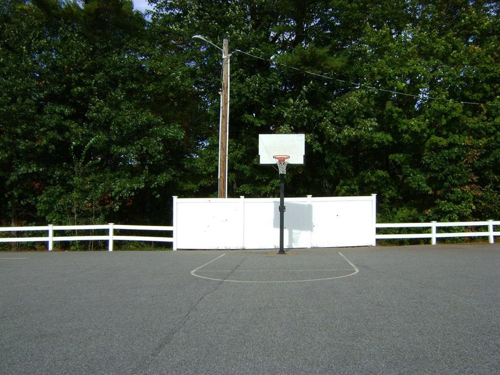 Basketball